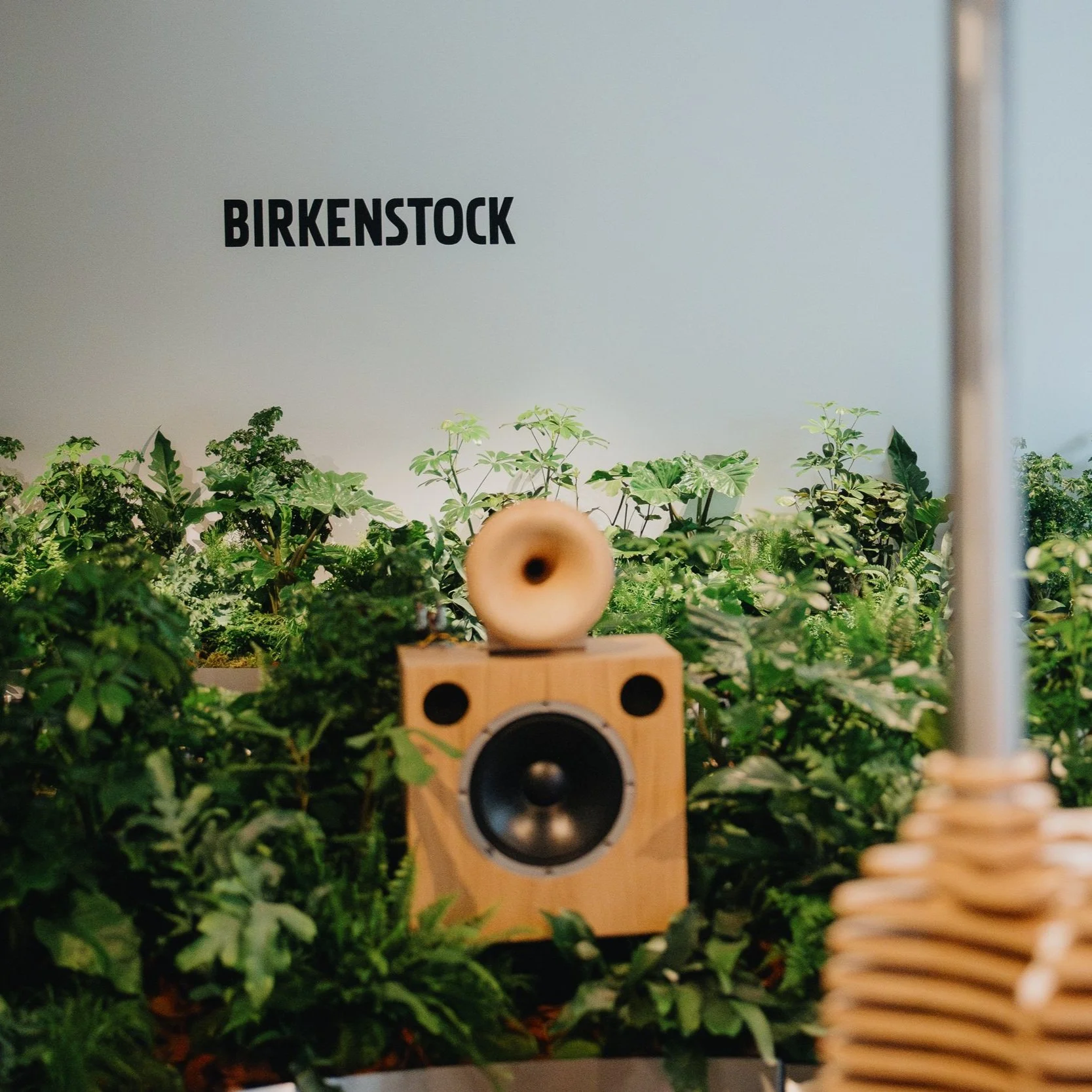 @khaliphotography - Birkenstock Highwood 10.10.24-57.jpg