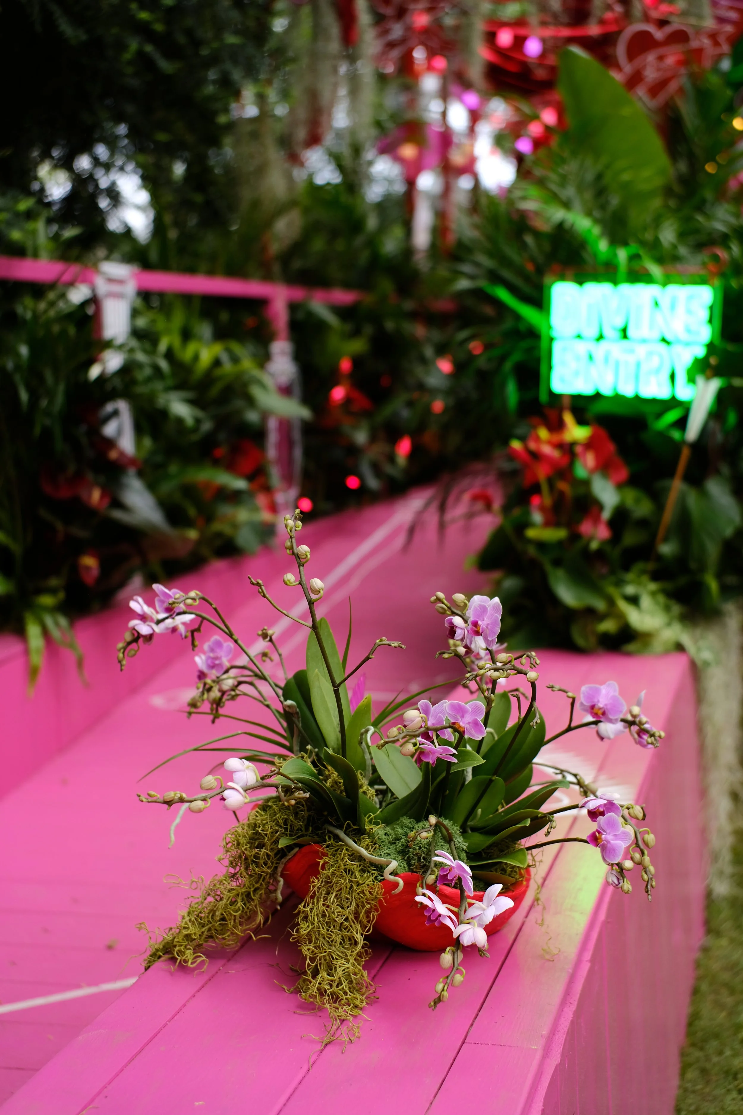 Lovehoney Presents: Aphrodite's Hothouse - RHS Chelsea Flower Show 2026 - Gold Medal - Designed and created by James Whiting of Plants By There.