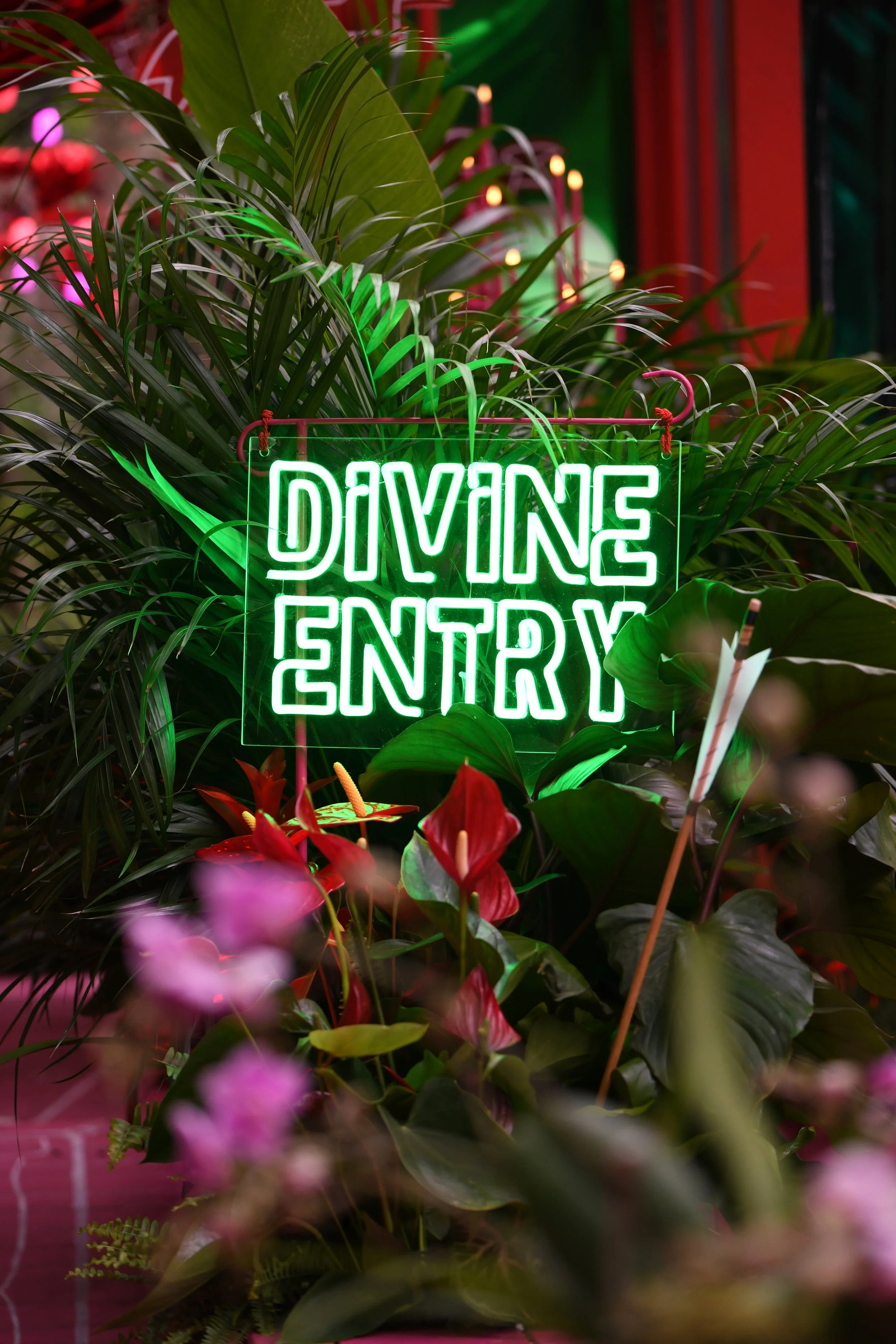 Lovehoney Presents: Aphrodite's Hothouse - RHS Chelsea Flower Show 2026 - Gold Medal - Designed and created by James Whiting of Plants By There. - Photo by Zak Walton