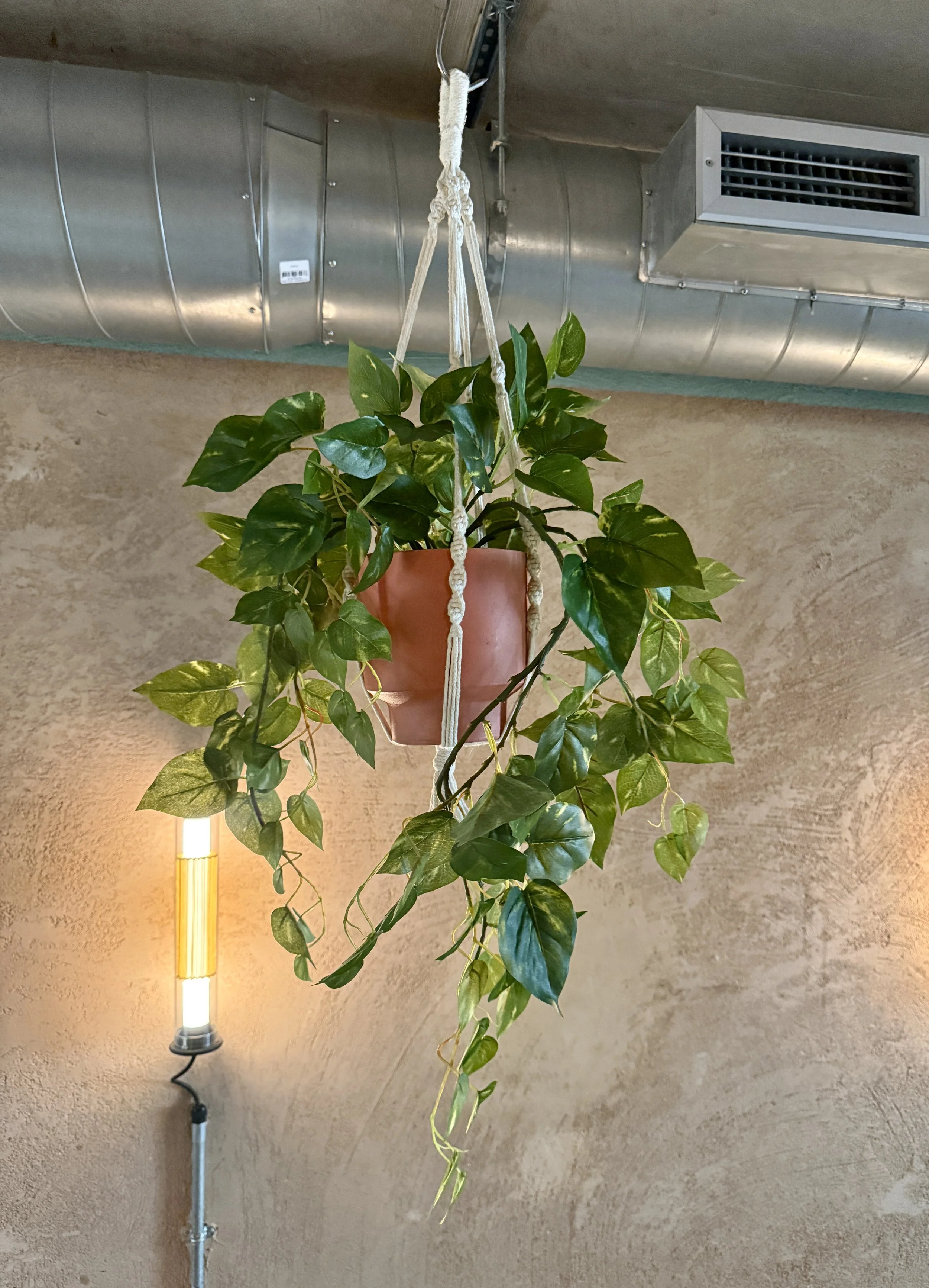 Replica, faux and artificial indoor potted plant displays for dark spaces - Designed and installed by Plants By There London for Bubala Soho