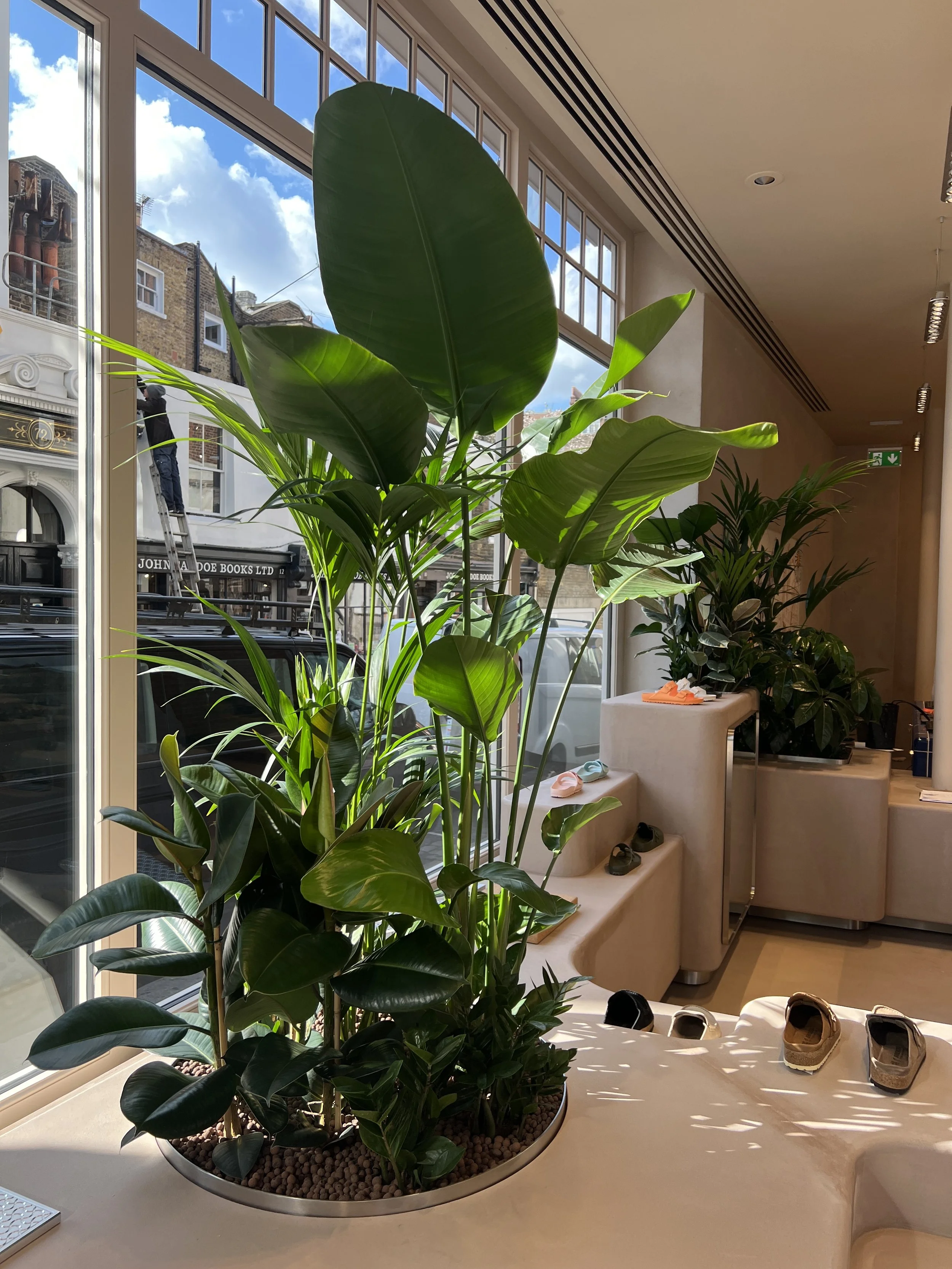 Interior planting displays for Birkenstock Kings's Road store by Plants By There - Chelsea, London