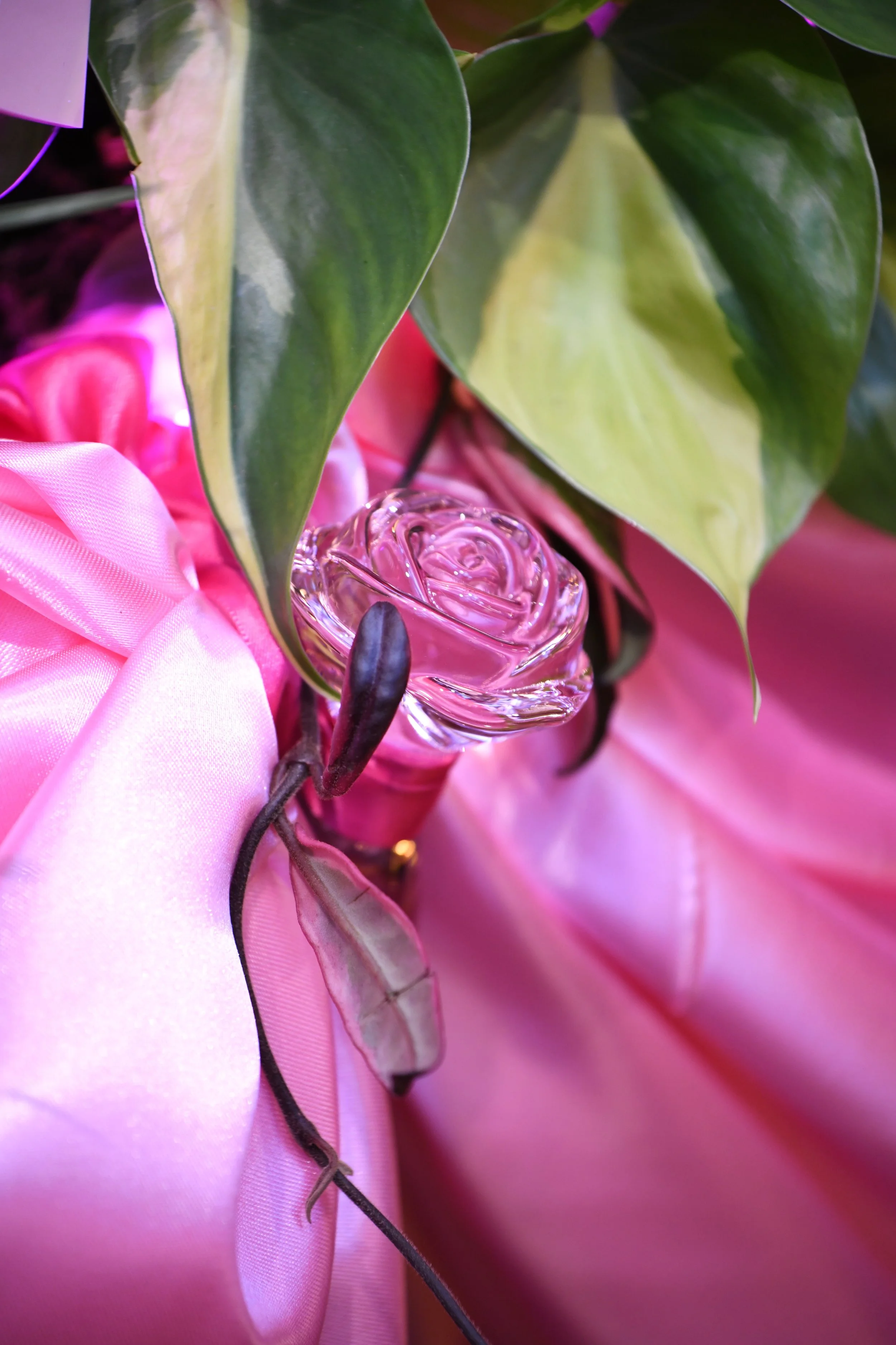 Lovehoney Presents: Aphrodite's Hothouse - RHS Chelsea Flower Show 2026 - Gold Medal - Designed and created by James Whiting of Plants By There.
