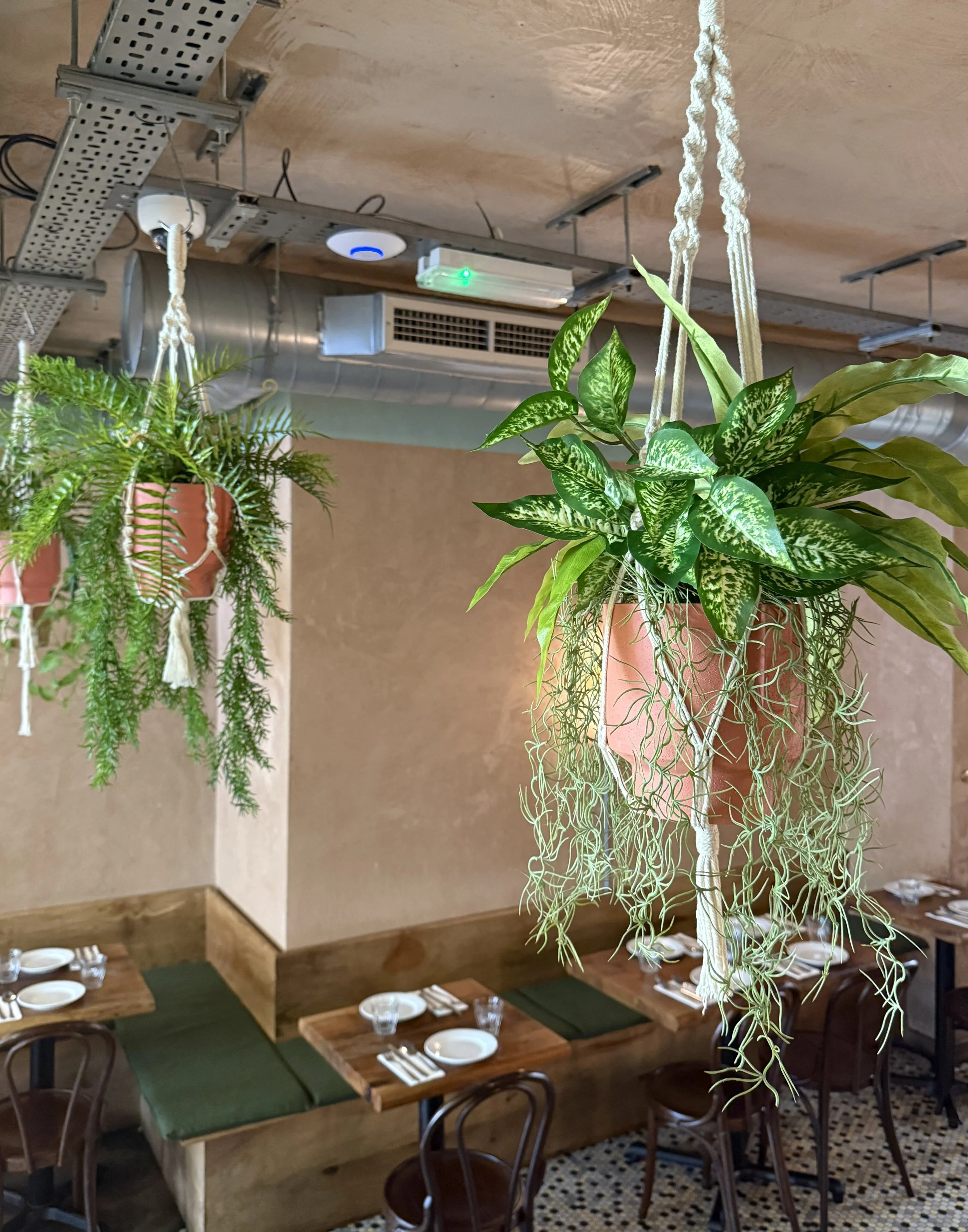 Replica, faux and artificial indoor potted plant displays for dark spaces - Designed and installed by Plants By There London for Bubala Soho