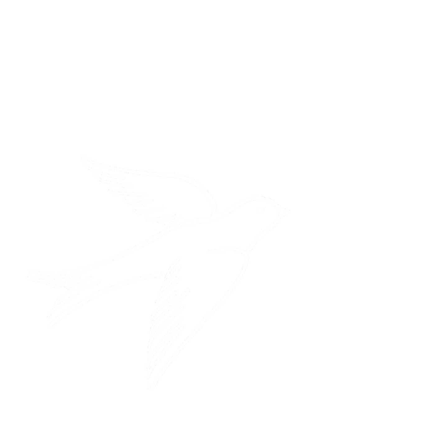 Outline drawing of a dove in flight against a black background.