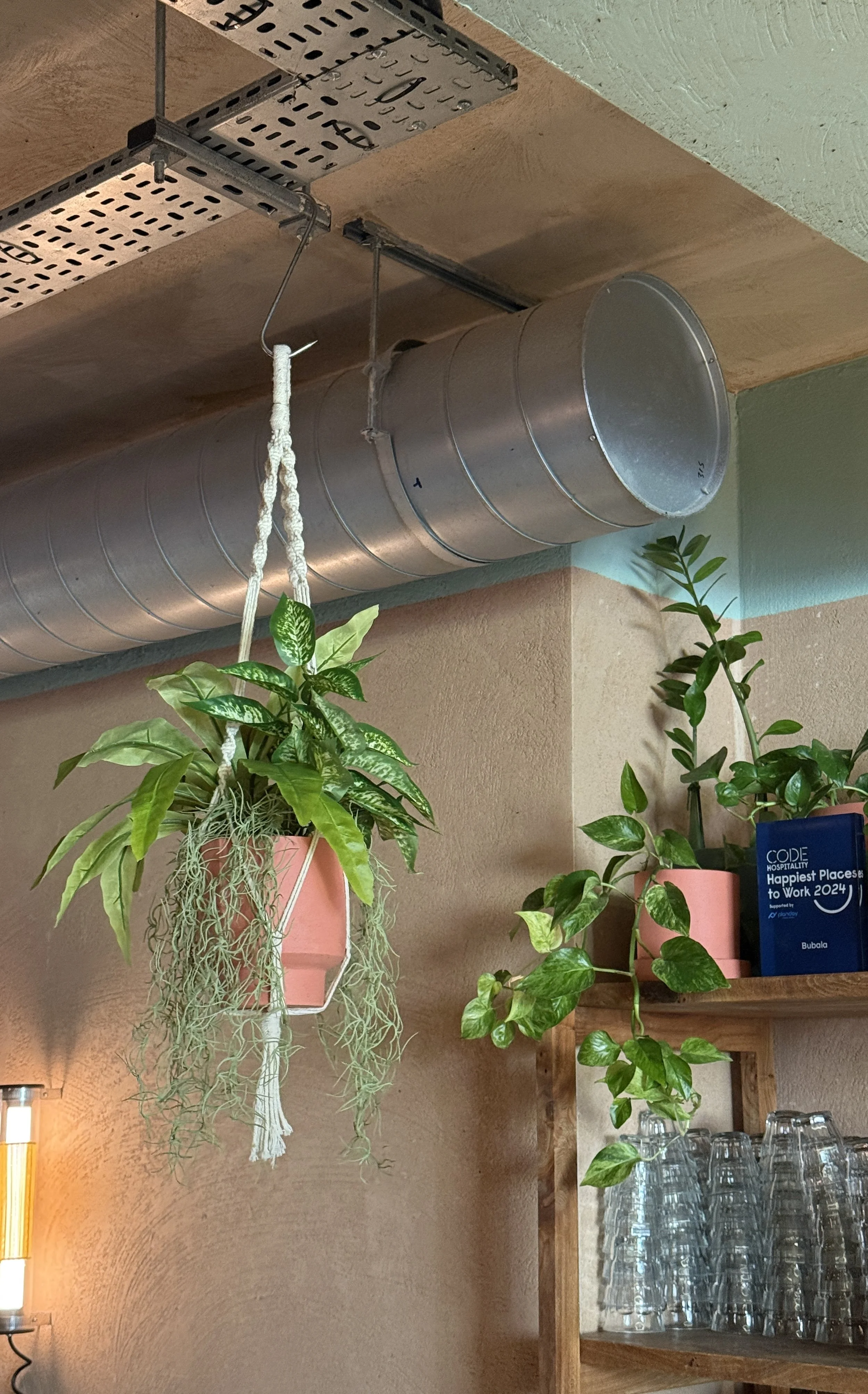 Replica, faux and artificial indoor potted plant displays for dark spaces - Designed and installed by Plants By There London for Bubala Soho