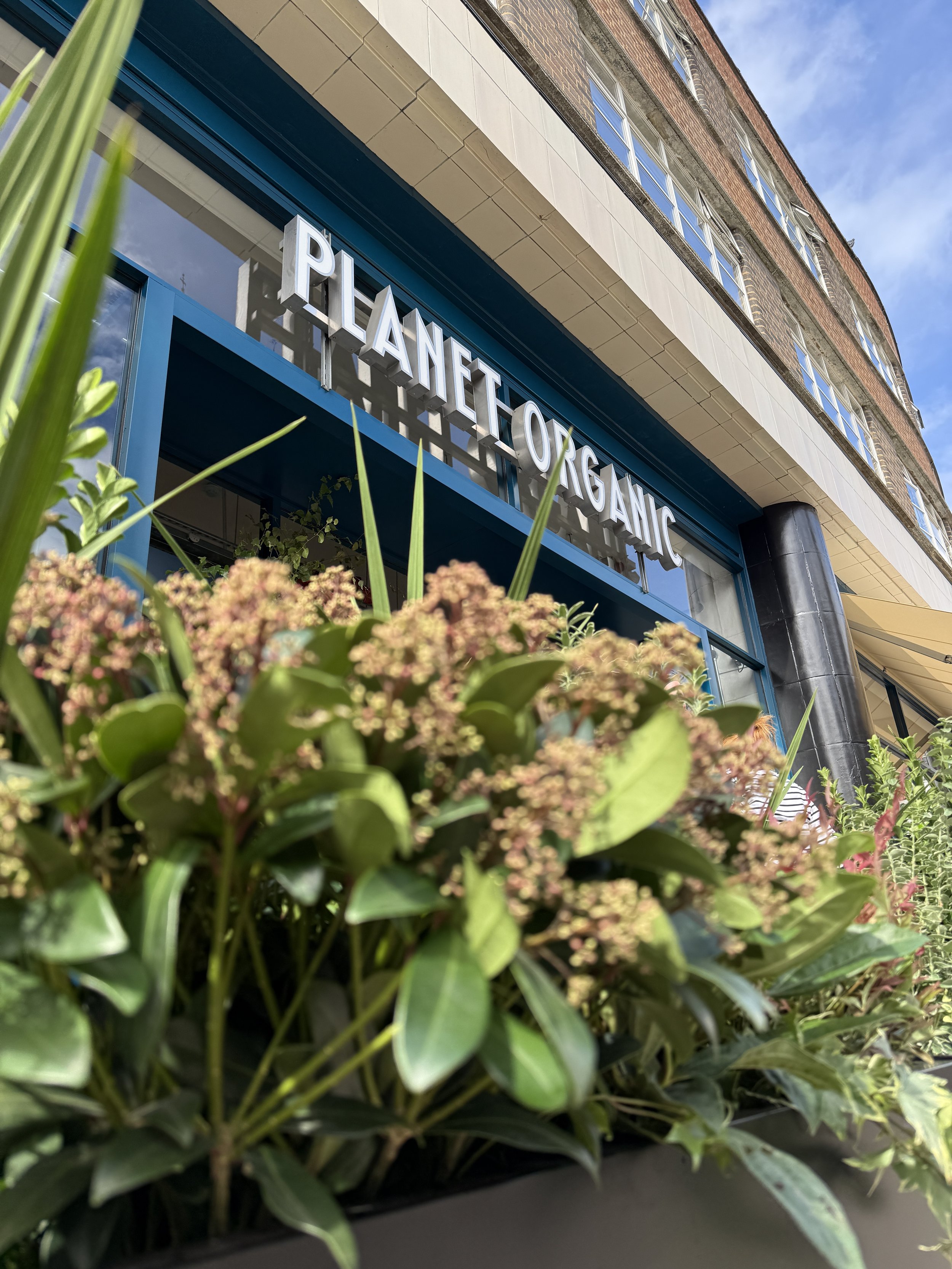 Planet Organic - Muswell Hill - Plants By There Exterior planting installation and maintenance