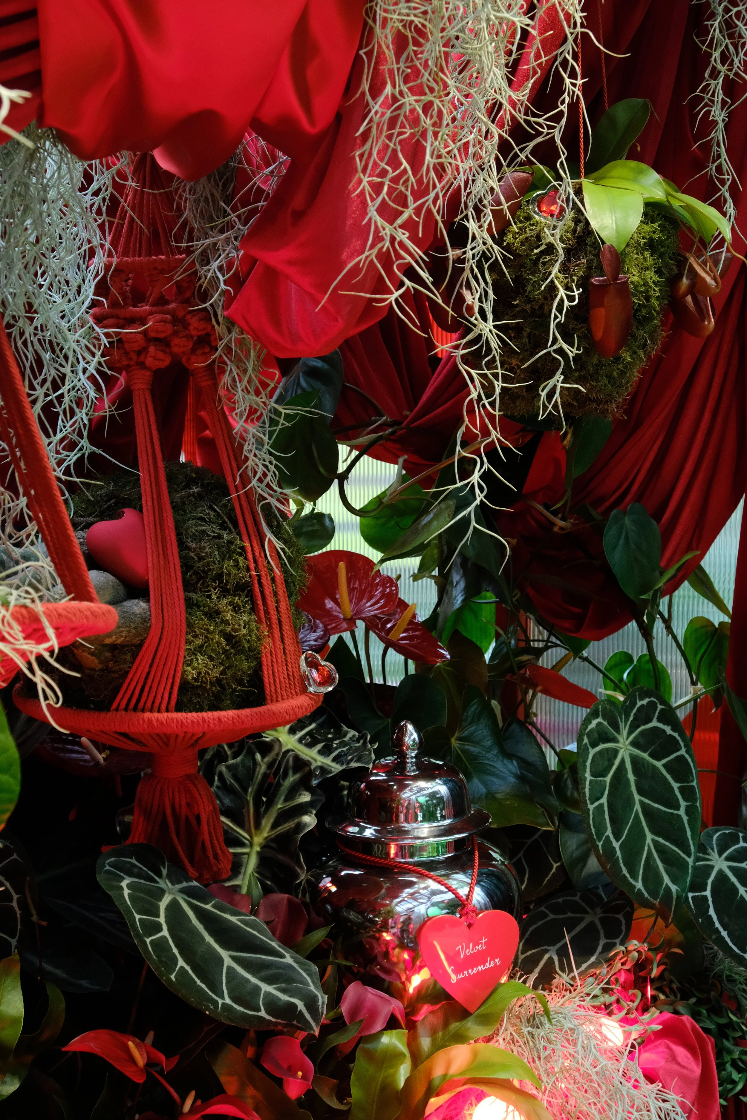 Lovehoney Presents: Aphrodite's Hothouse - RHS Chelsea Flower Show 2026 - Gold Medal - Designed and created by James Whiting of Plants By There.