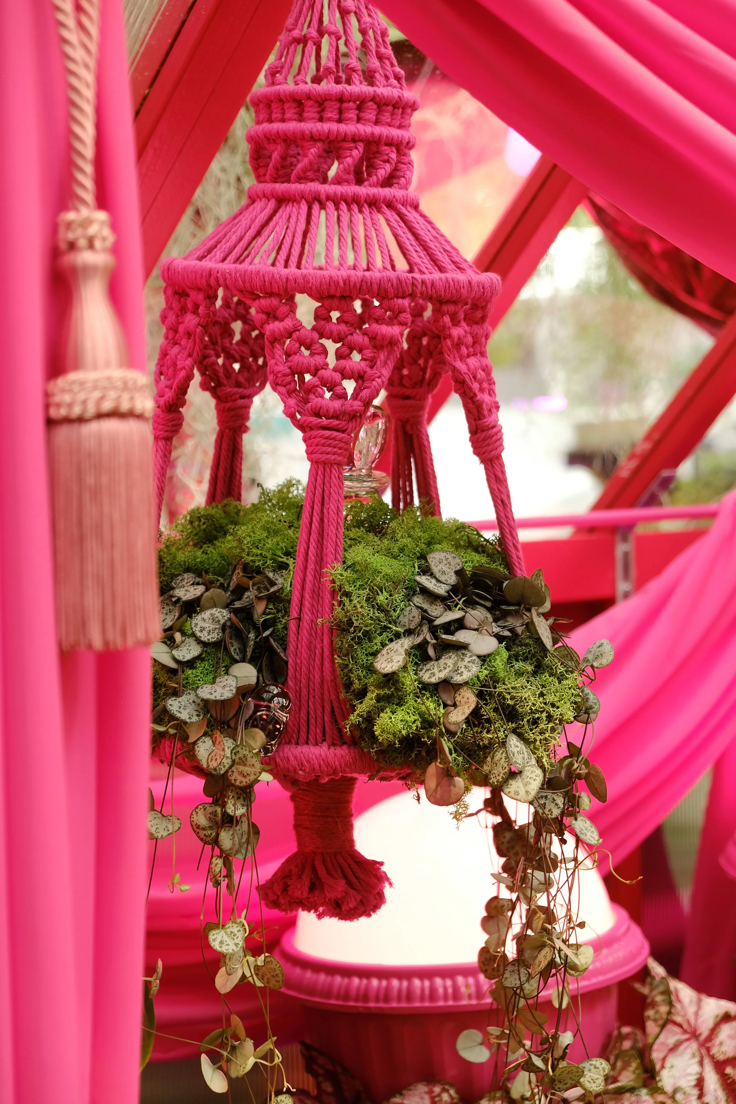 hanging plants, macrame plant hanger - Mina Hangers & macrame - RHS Chelsea 2026 Lovehoney Presents: Aphrodite's Hothouse - James Whiting Plants By There