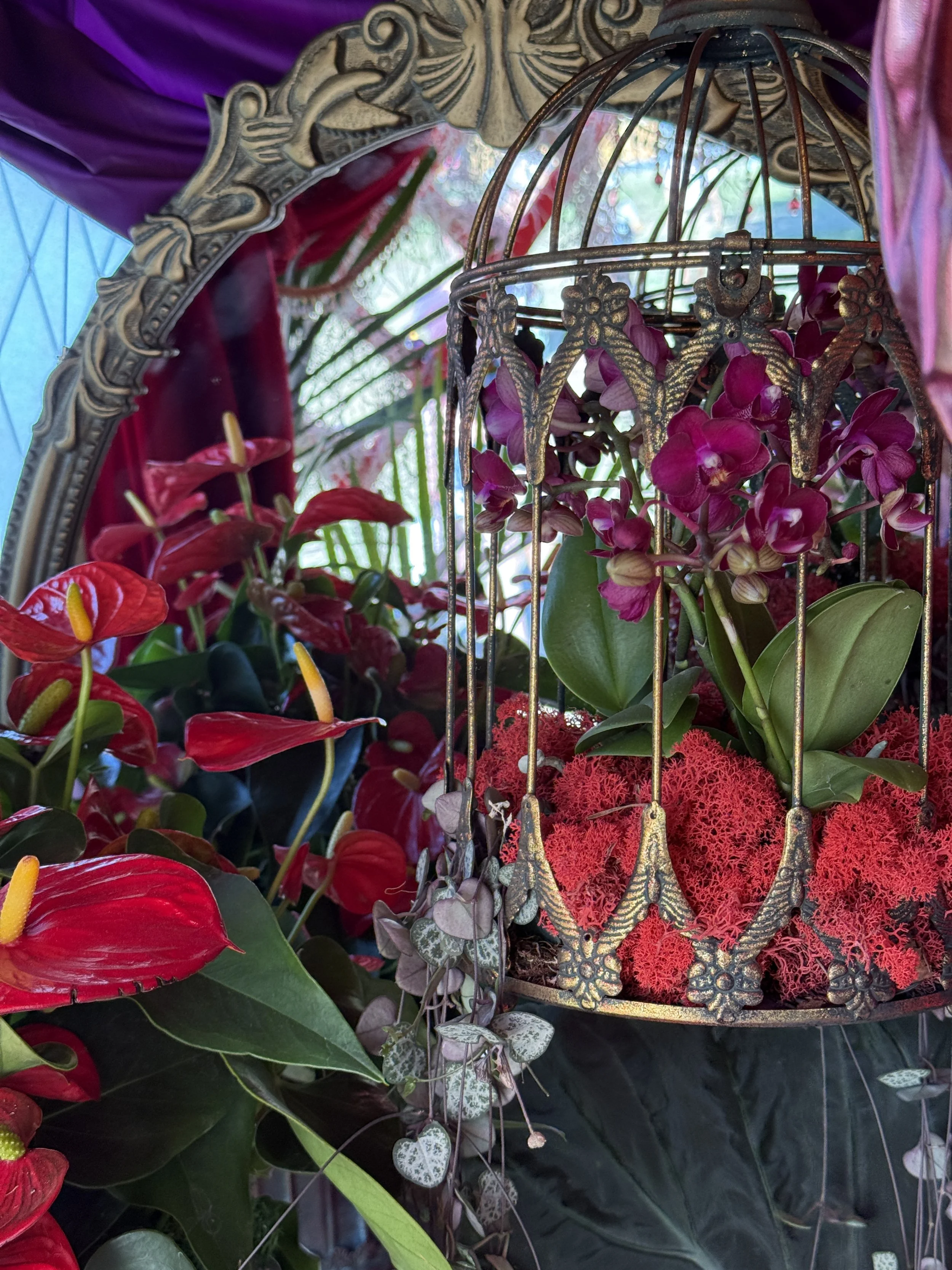 Satine's Dressing Room - L'amour Vert for Moulin Rouge! The Musical at RHS Badminton Flower Show 2026 Designed by James Whiting and Plants By There - RHS Gold Medal and Best Houseplant Terrarium