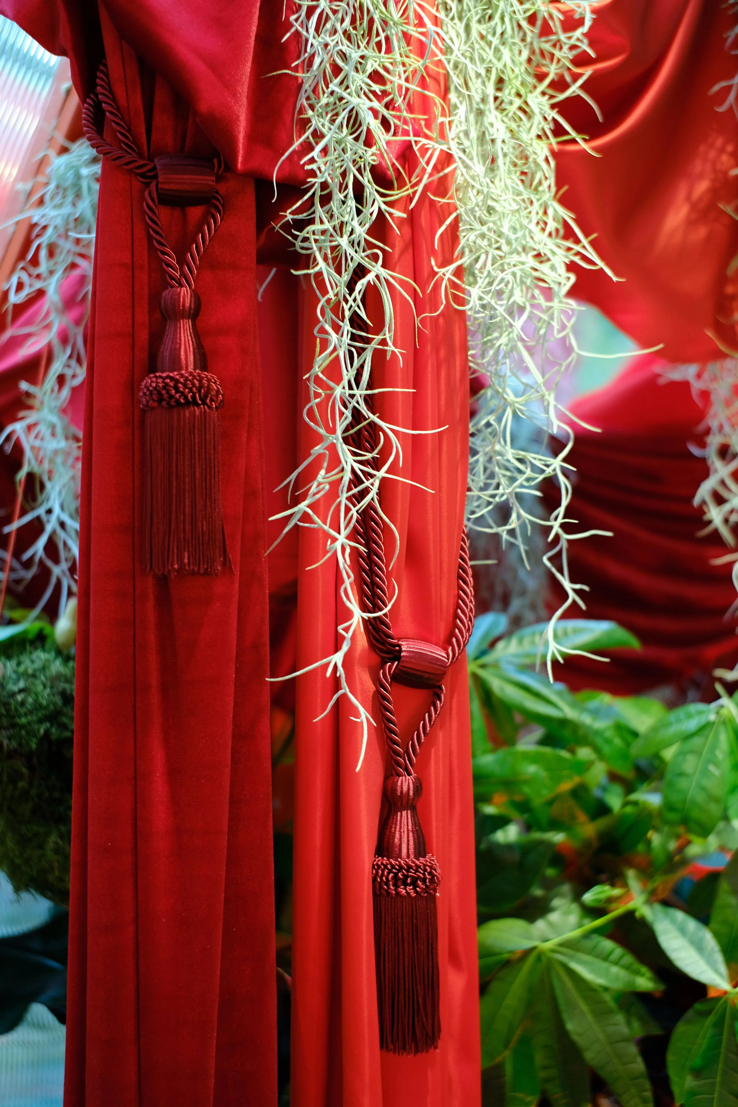 Lovehoney Presents: Aphrodite's Hothouse - RHS Chelsea Flower Show 2026 - Gold Medal - Designed and created by James Whiting of Plants By There.