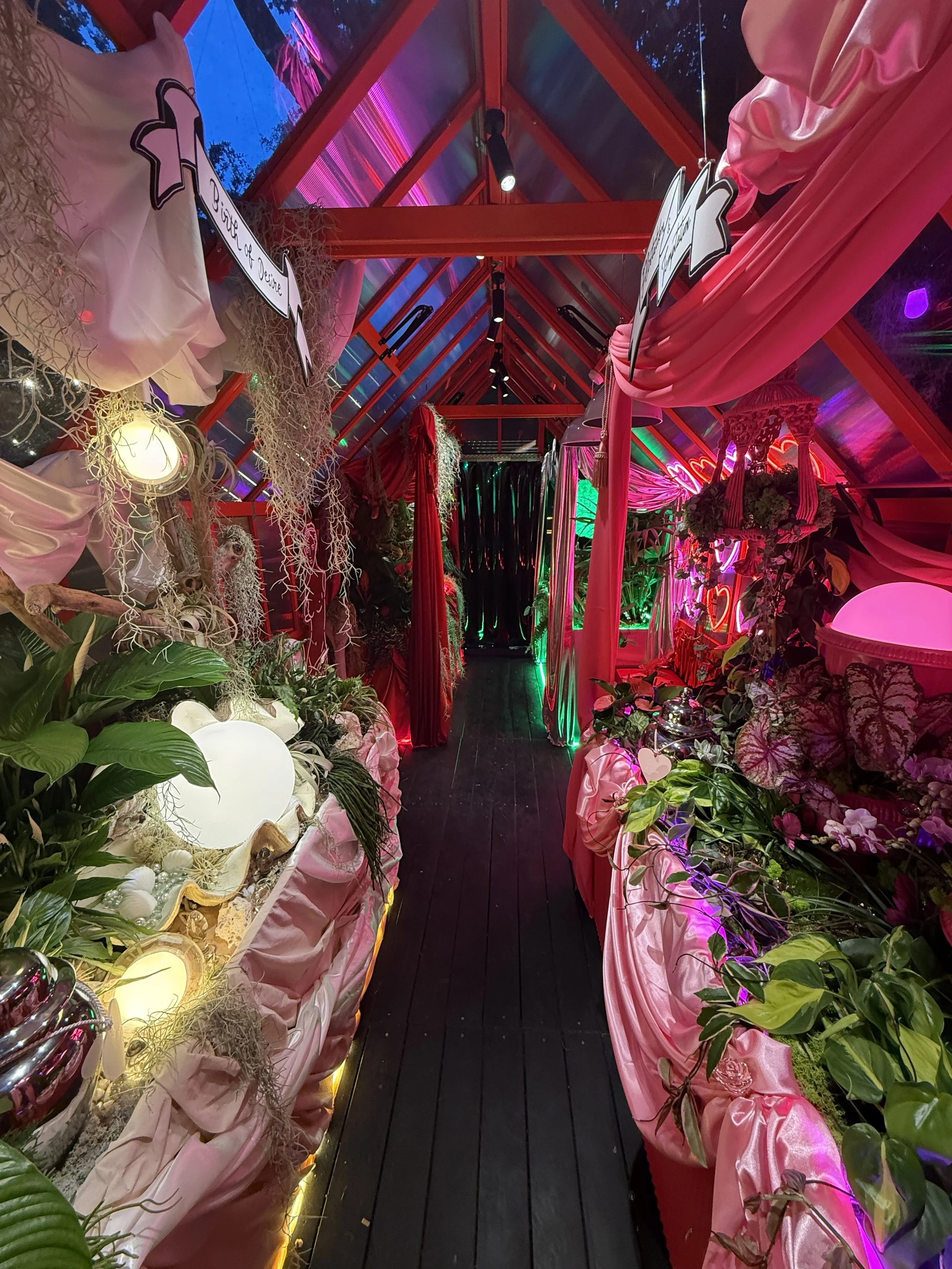 Lovehoney Presents: Aphrodite's Hothouse at night at RHS Chelsea Flower Show 2026 - Houseplant Studio designed by James Whiting of Plants By There