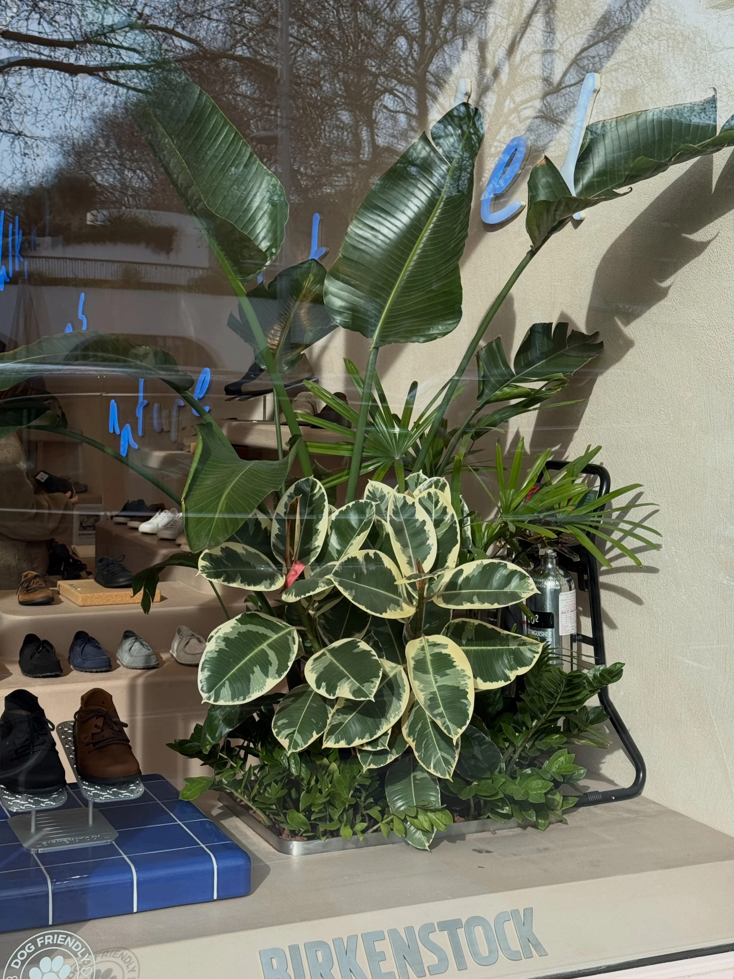 Interior planting displays for Birkenstock Kings's Road store by Plants By There - Chelsea, London