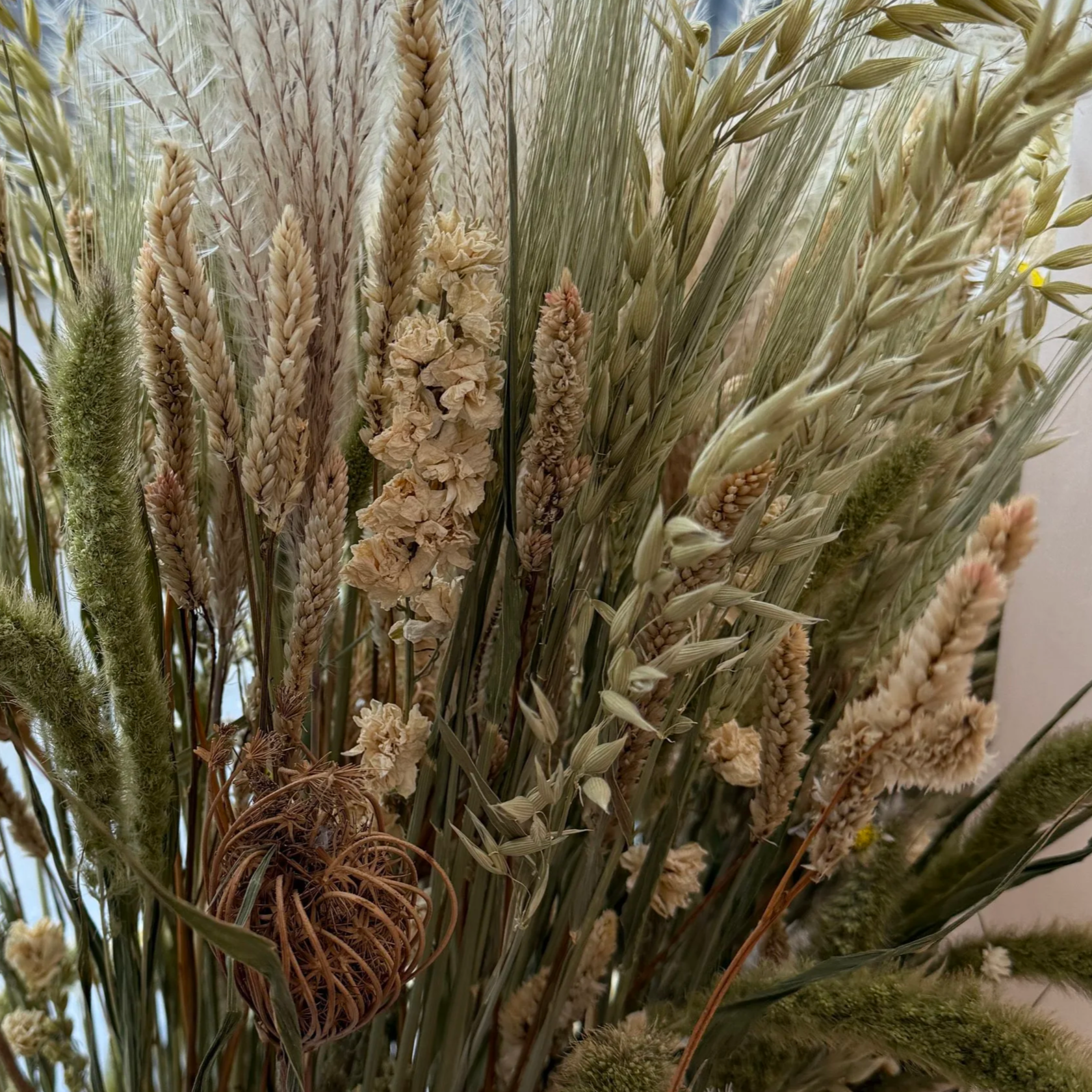 The Fall Bride - Dried Flower window display