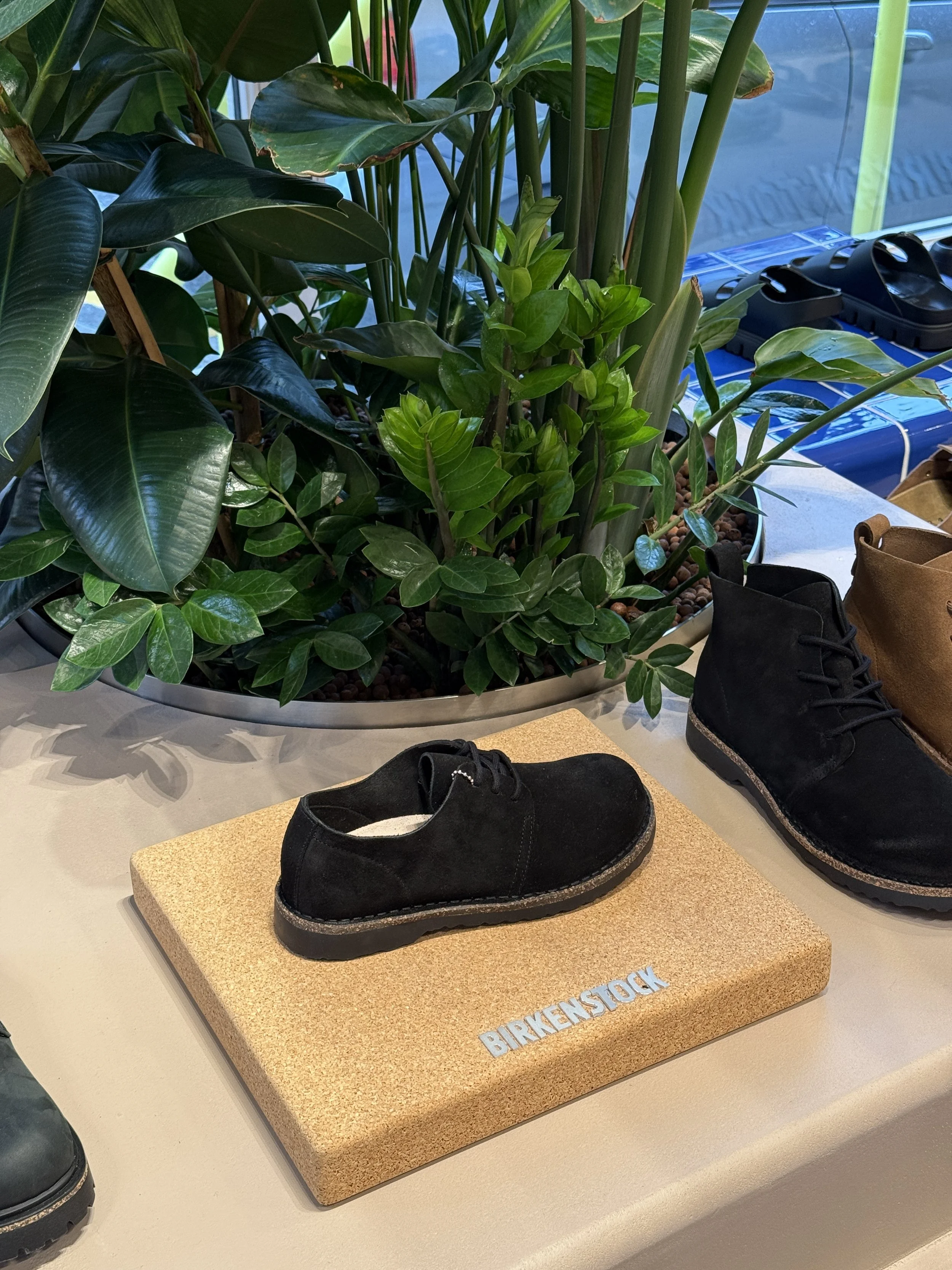 Interior planting displays for Birkenstock Kings's Road store by Plants By There - Chelsea, London