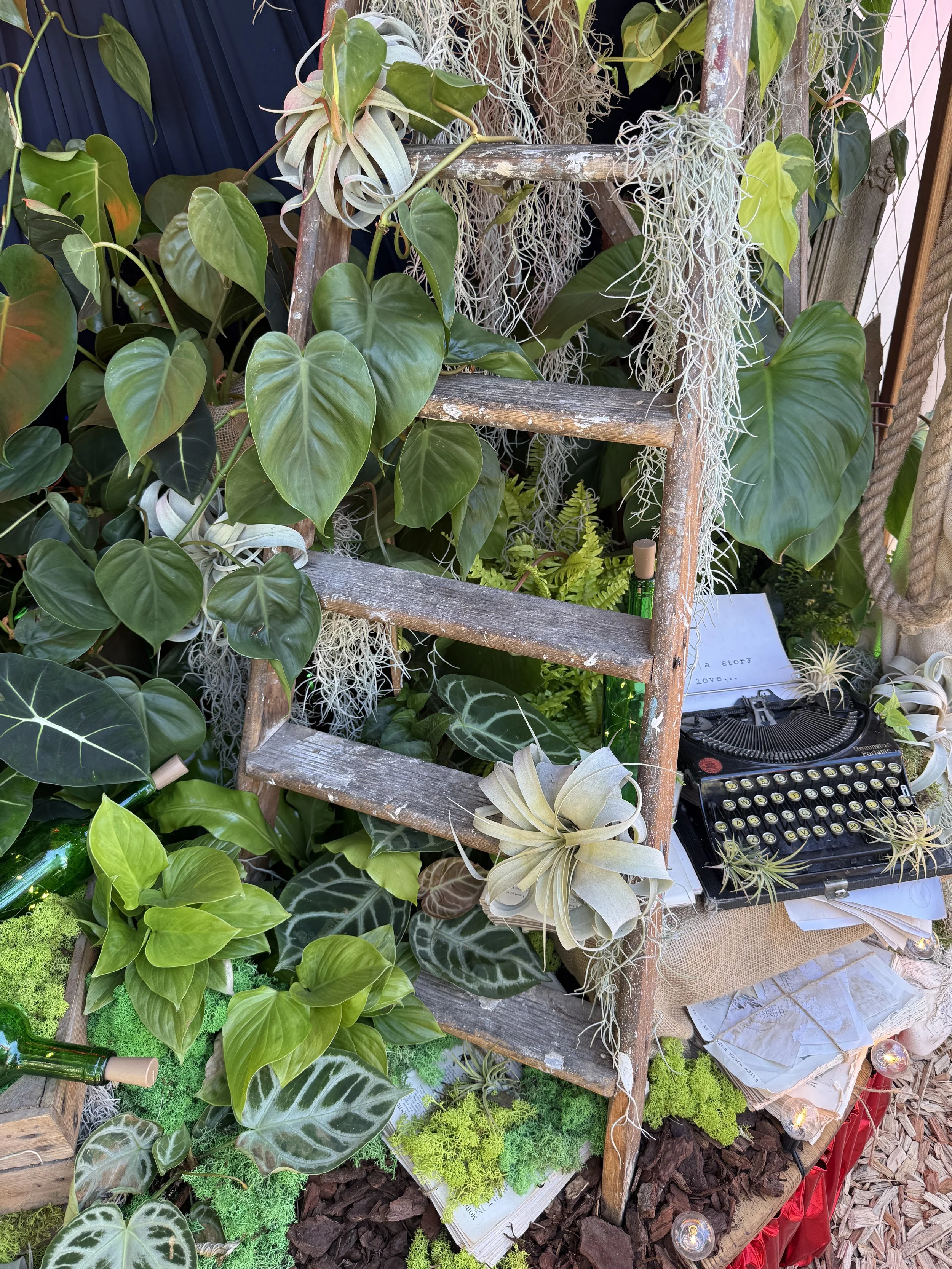 Christian's Garret - L'amour Vert for Moulin Rouge! The Musical at RHS Badminton Flower Show 2026 Designed by James Whiting and Plants By There - RHS Gold Medal and Best Houseplant Terrarium
