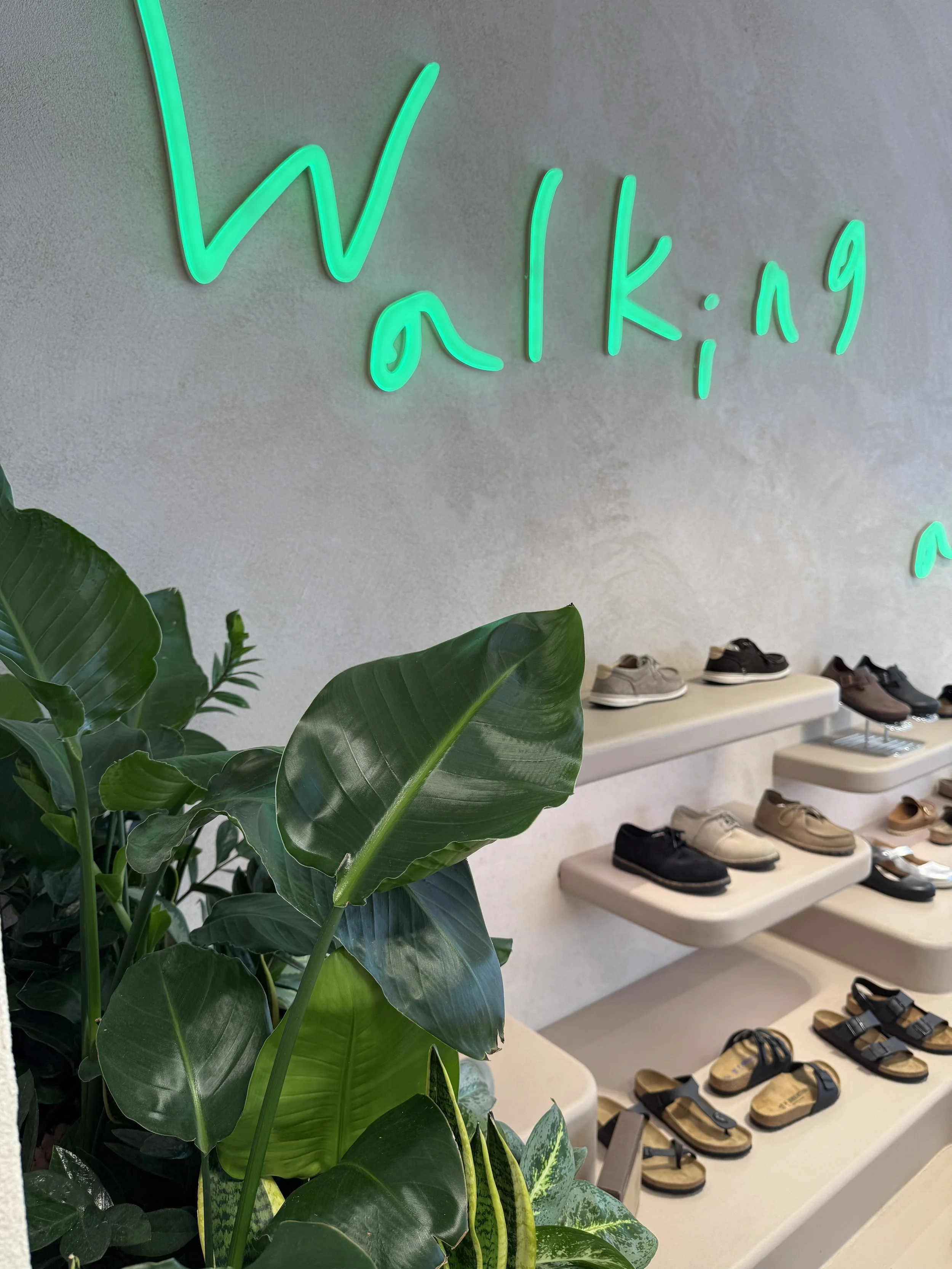 Interior planting displays for Birkenstock Kings's Road store by Plants By There - Chelsea, London