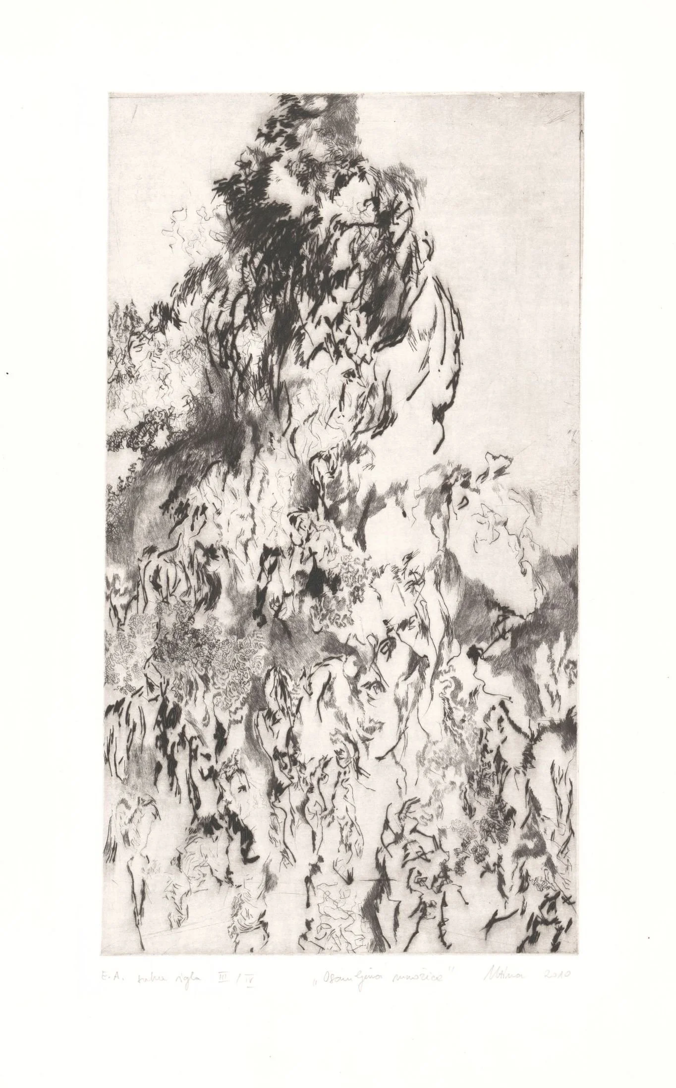 zacete koncnice 6.jpg