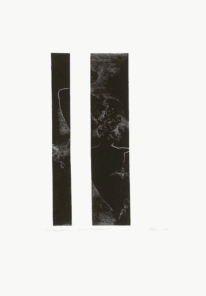 8 Prestopanja II.jpg