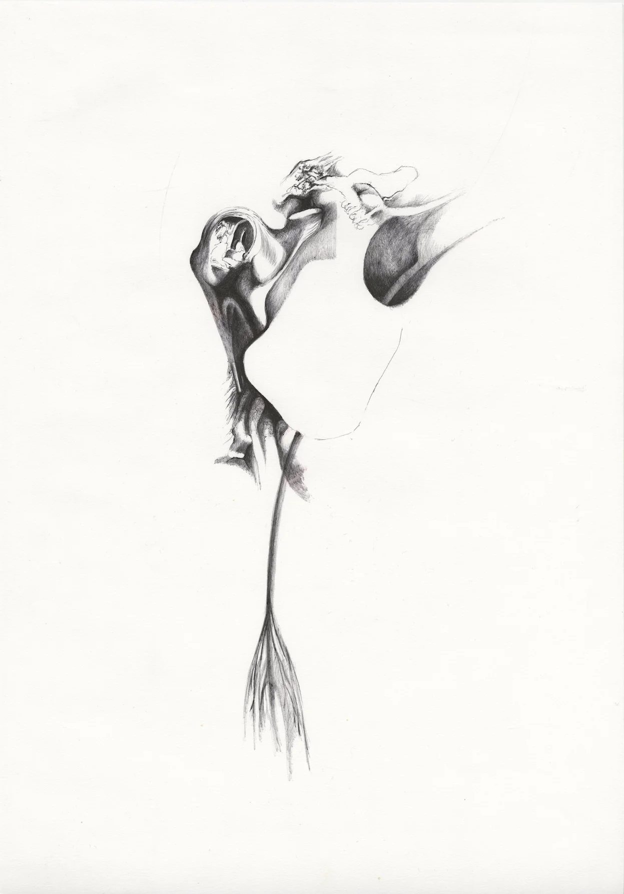 21  Iz cika Kostenje XI.jpg