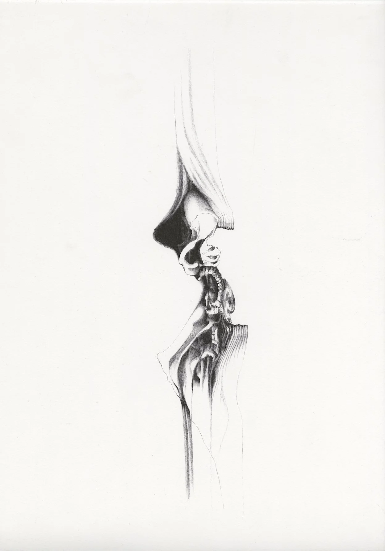 17  Iz cika Kostenje XIII.jpg