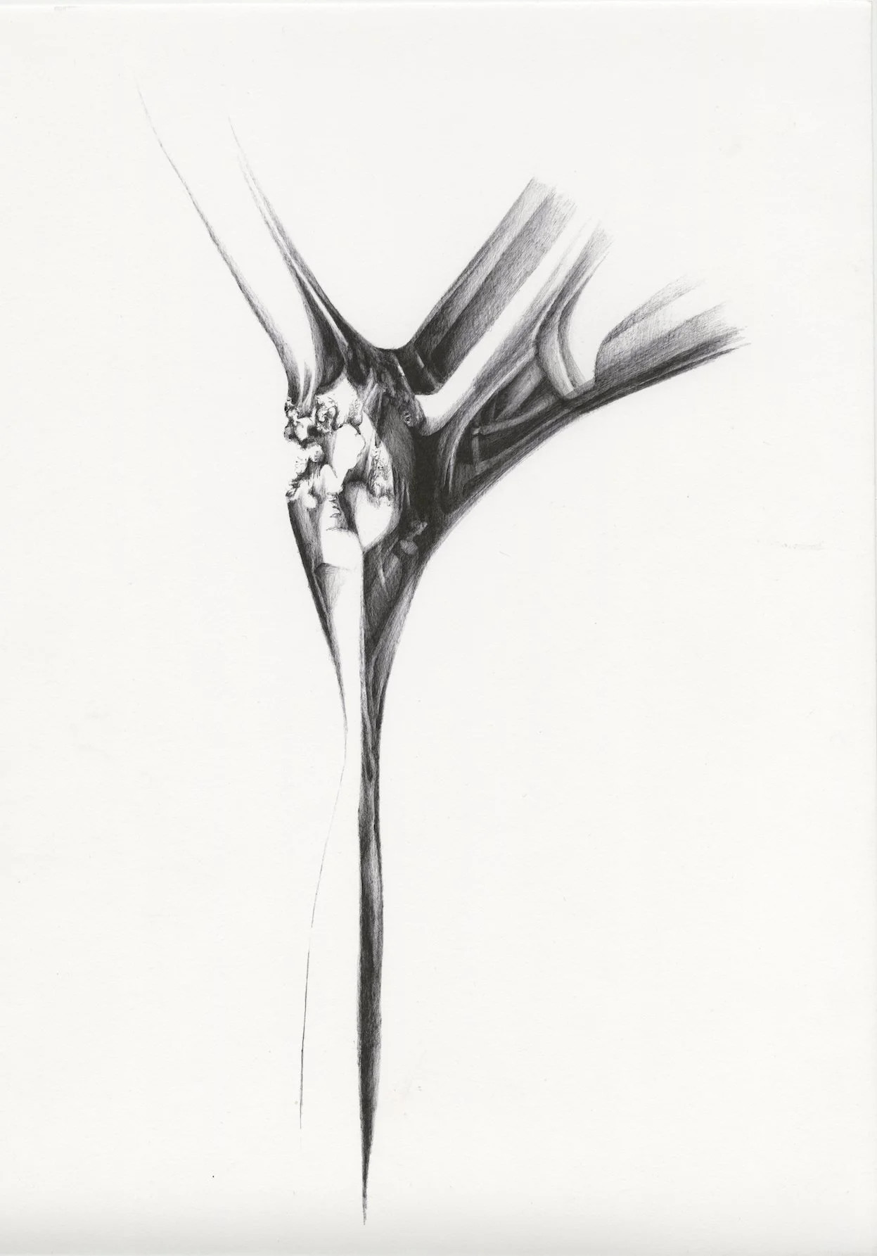 19  Iz cika Kostenje XIV.jpg