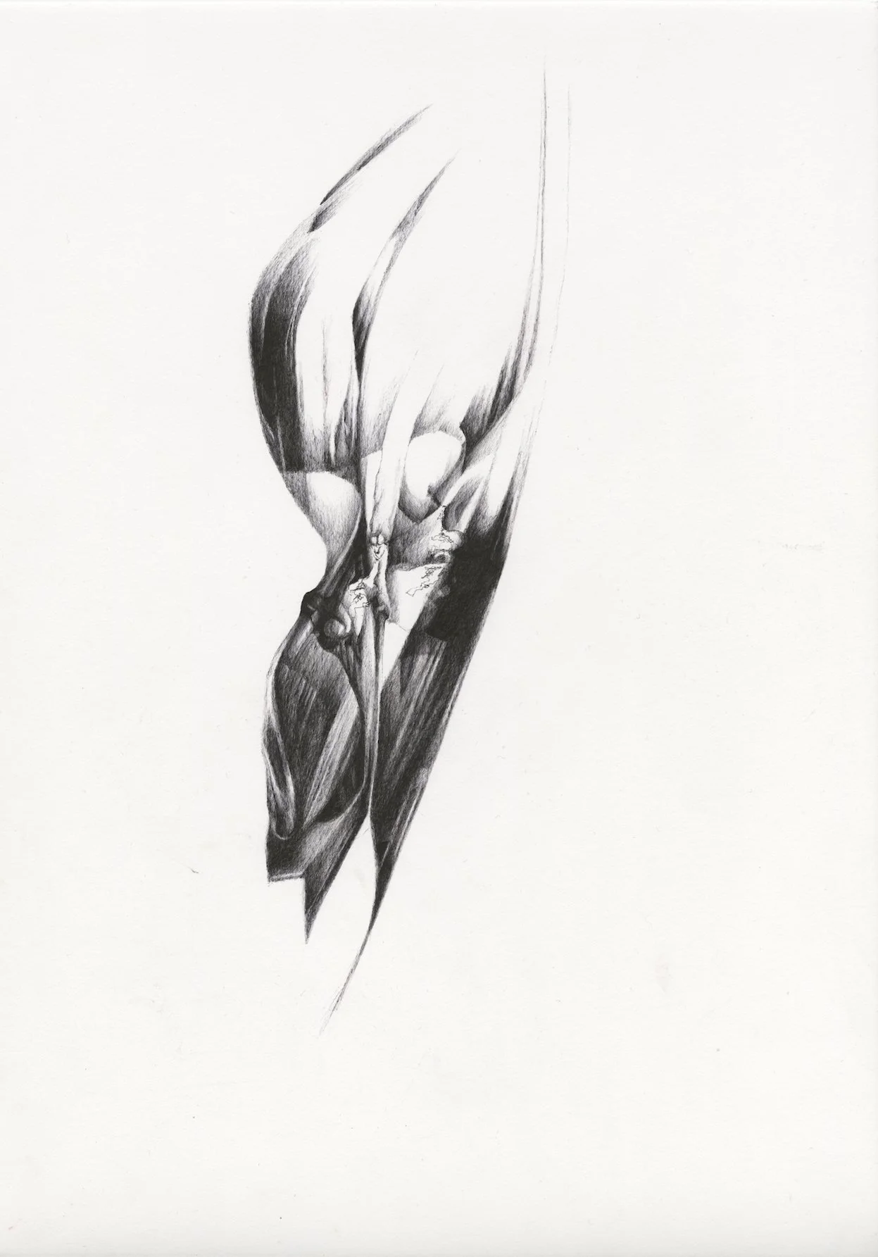 26  Iz cika Kostenje XVIII.jpg