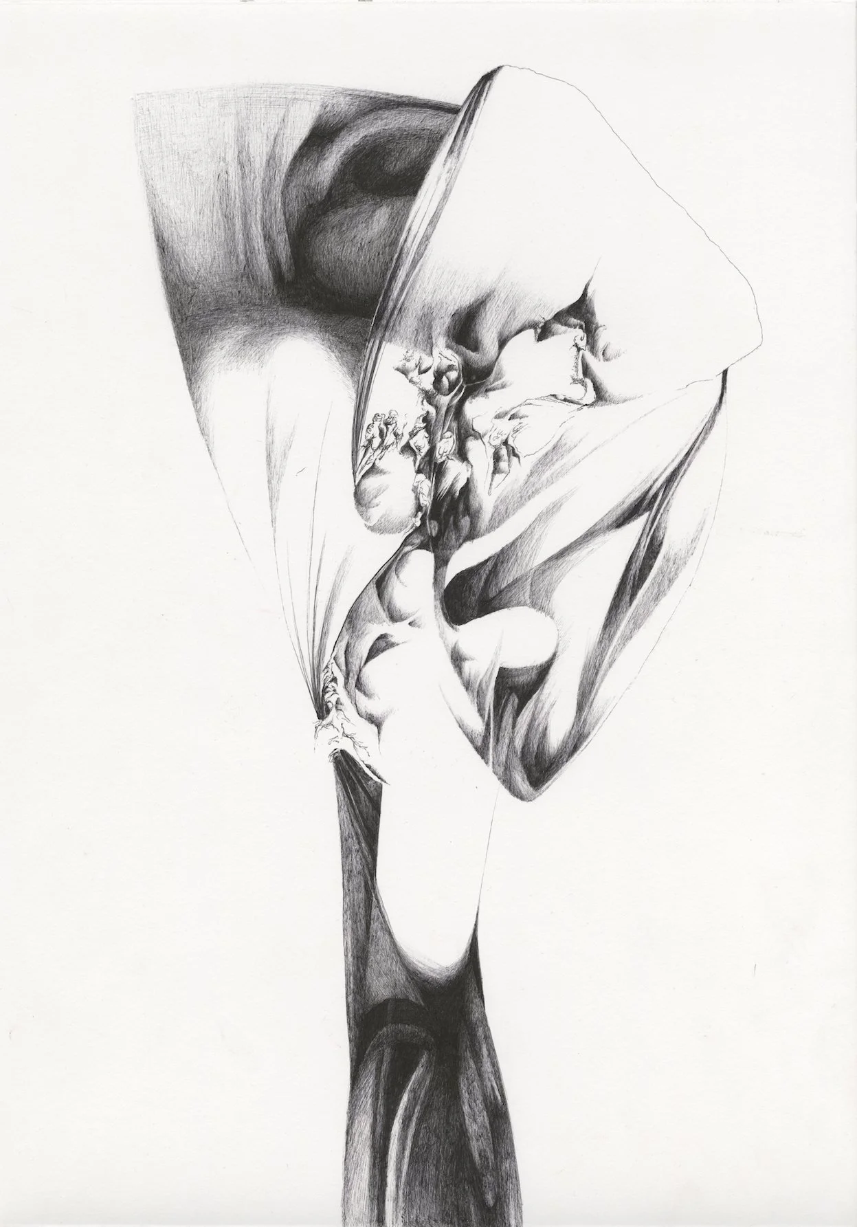 27  Iz cika Kostenje XX.jpg