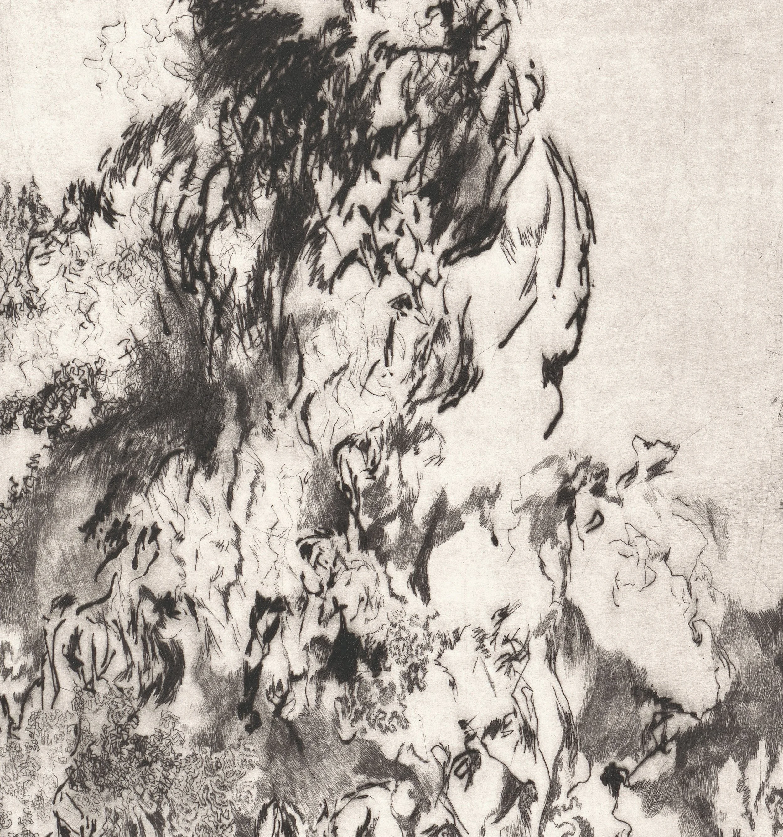 ZAČETE KONČNICE 2014