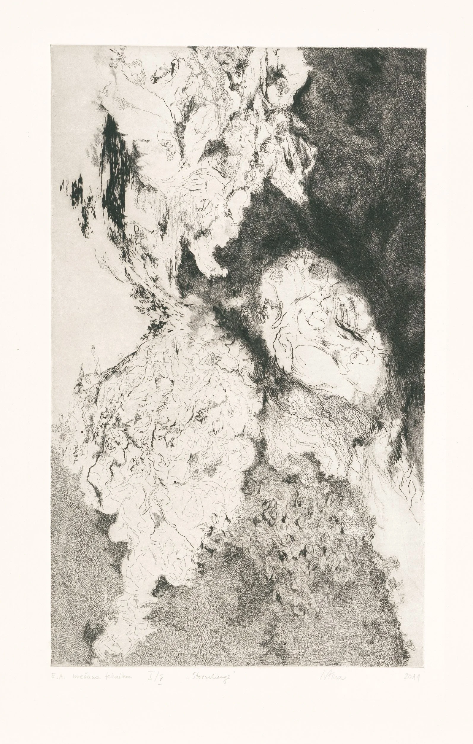 zacete koncnice3.jpg