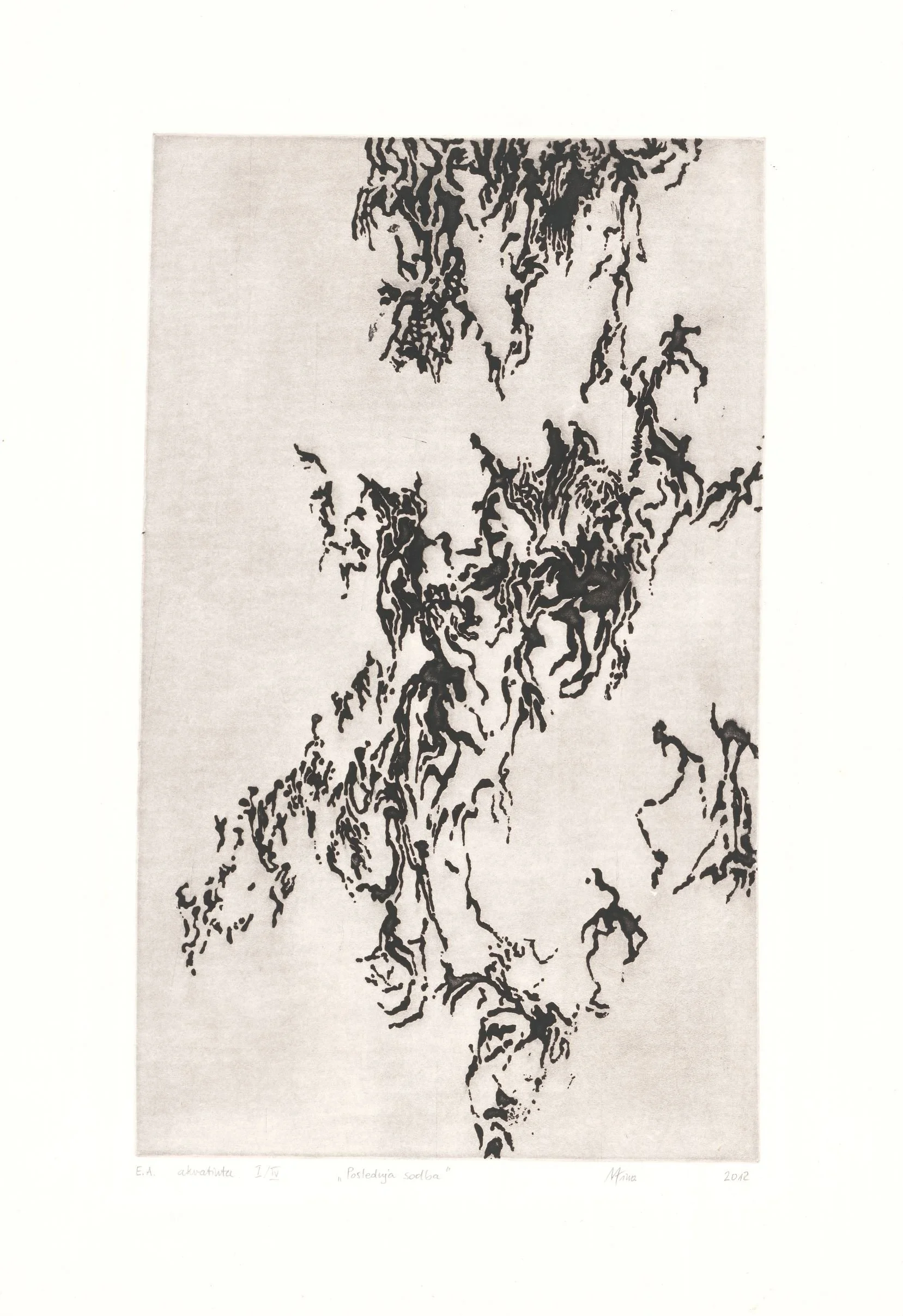 zacete koncnice4.jpg