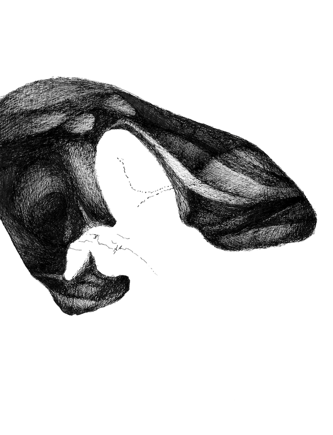 Screenshot 2022-08-06 at 15.52.23.png