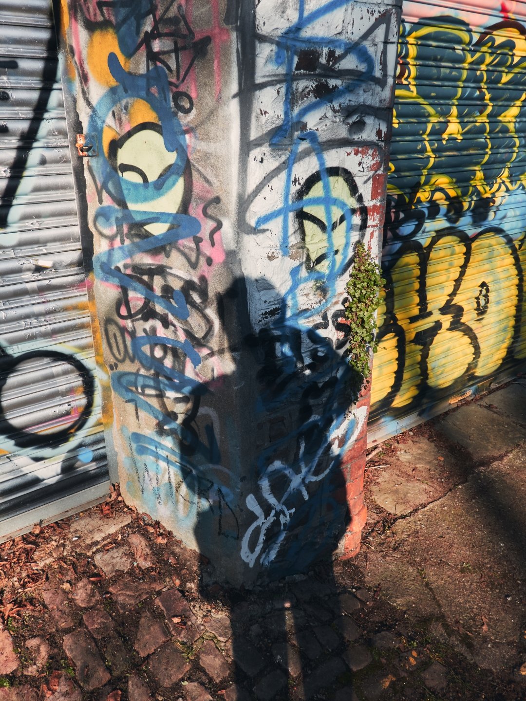 Behind the Camera