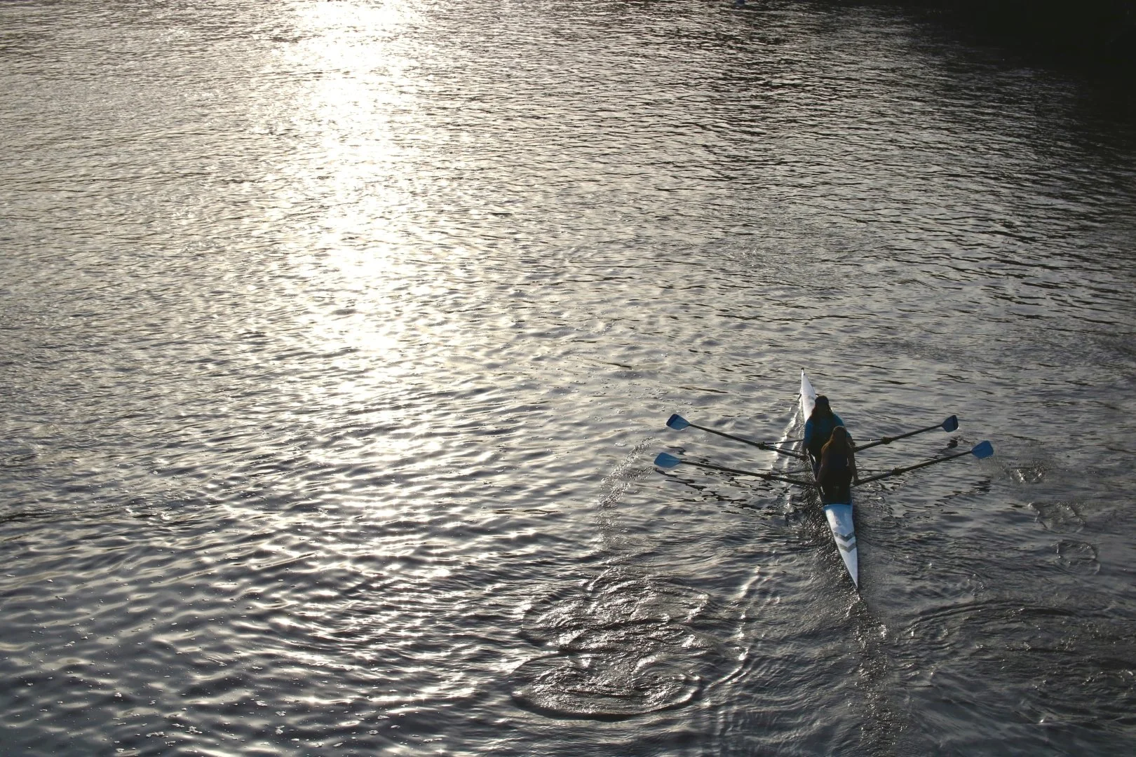 row.jpg