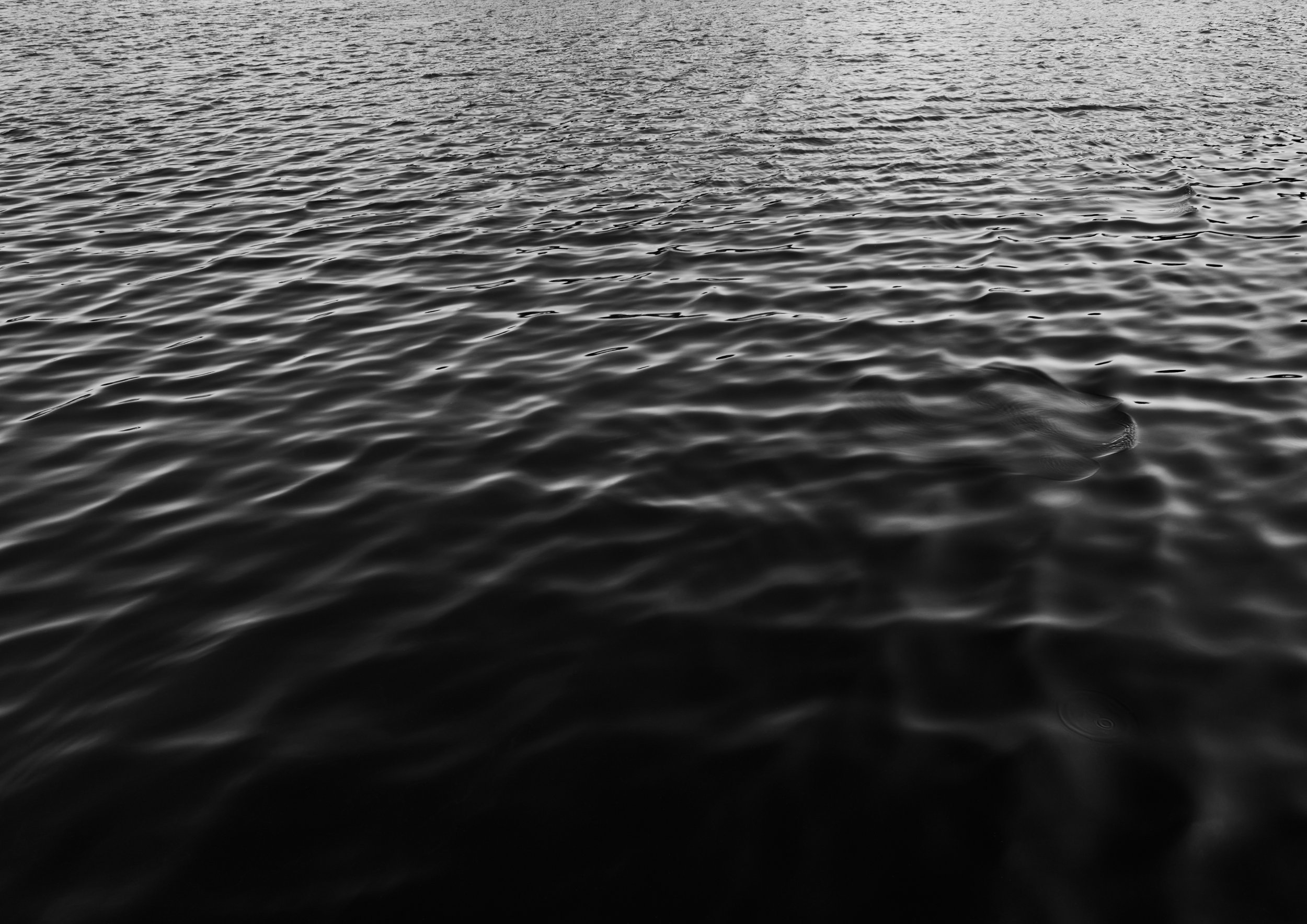 Calm Waters Black and White Landscape.jpg