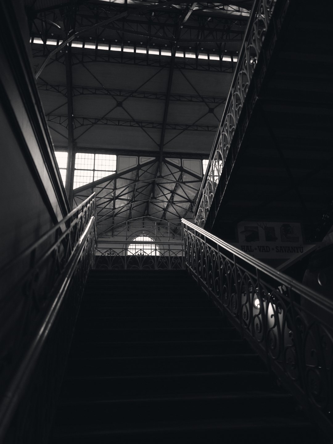 L1001952.jpg