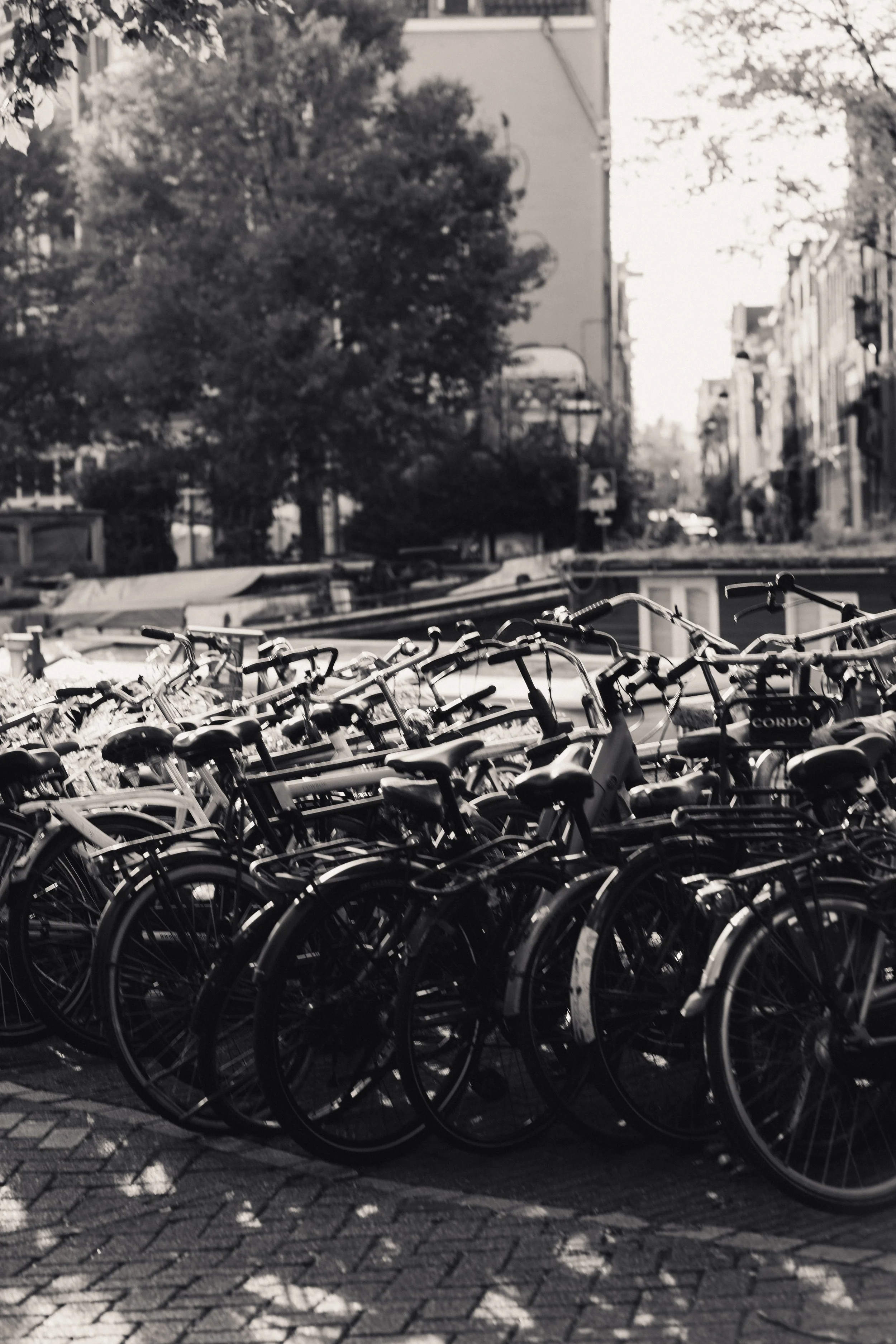 Bikes parked in bike racks on a cobbled street in Amsterdam.
