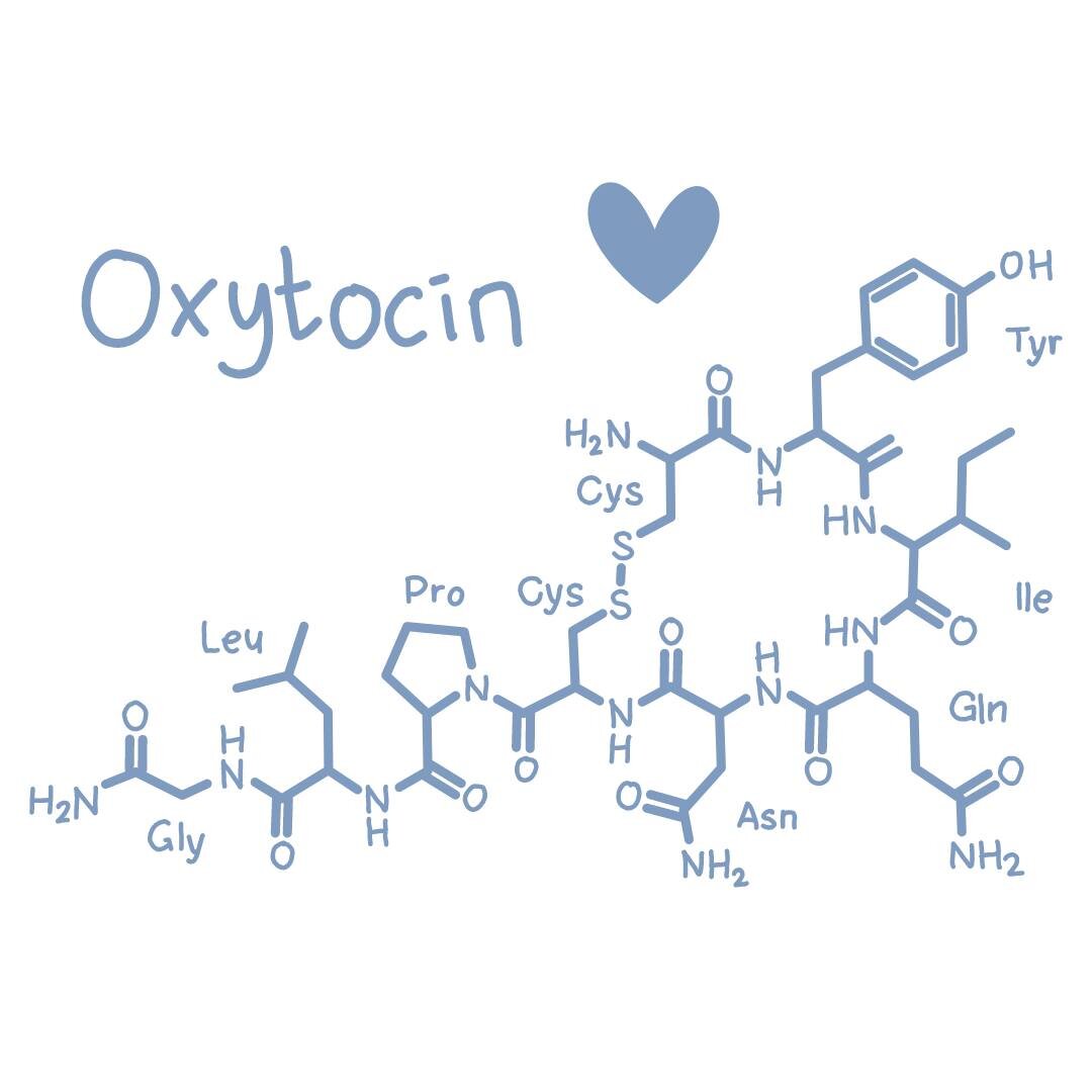 Oxytocin AKA the love hormone 🖤

Oxytocin is produced by the pituitary gland when we do things that make us happy. 

It is released in large amounts when we kiss, cuddle or have sex. 

The role of oxytocin in labour is HUGE! 
- Stimulates contractio