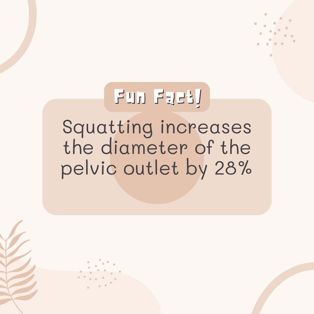 🌟Today's fun fact - Squatting! 🌟

Squatting in labour increases the pelvic outlet diameter by ~28%

▪ Encourages rapid descent
▪ Uses Gravity
▪ Keeps baby well aligned
▪ May help with rotation of baby

 #pregnant #pregnancy  #midwife #midwifery #La