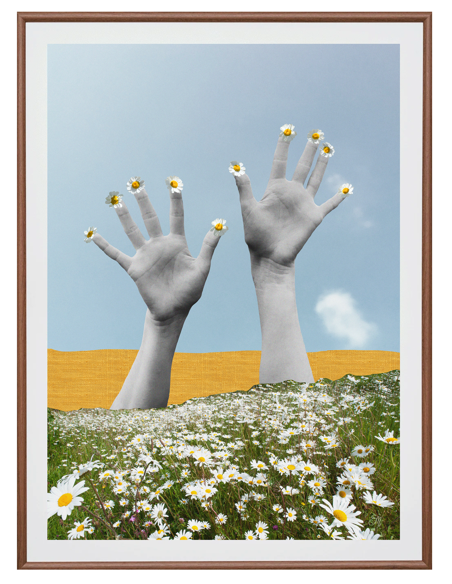Daisy Daisy.png