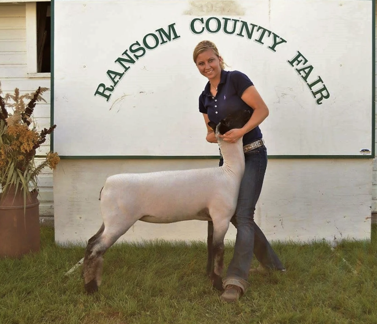 Patsy 6365
Joint Custody x Sweepstakes
Bred By Schminke Genetics
Reserve Champion Ewe
2016 Bottineau Country Jr. Point Show Day 1
Reserve Champion Ewe
2016 Foster County Jr. Point Show
Reserve Champion Ewe
2016 Ransom County Fair Day 1
Second Pl