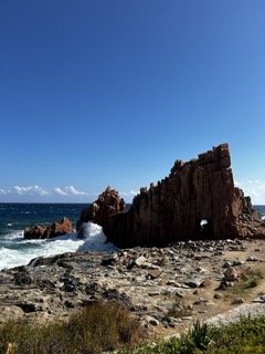 IMG_1783 Small.jpeg