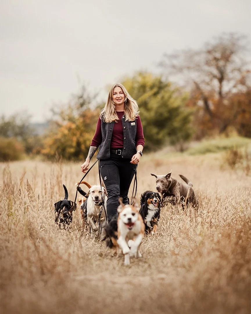 Dieses Fotoshooting hatte einen Teilnehmer, mit dem wirklich niemand gerechnet hat. 🫣😅
Was ihr hier seht, sind die vielen tollen Bilder, die ich im Oktober f&uuml;r die liebe R&eacute;ka von @rockthedog_hundebetreuung machen durfte. 
Ich durfte sie