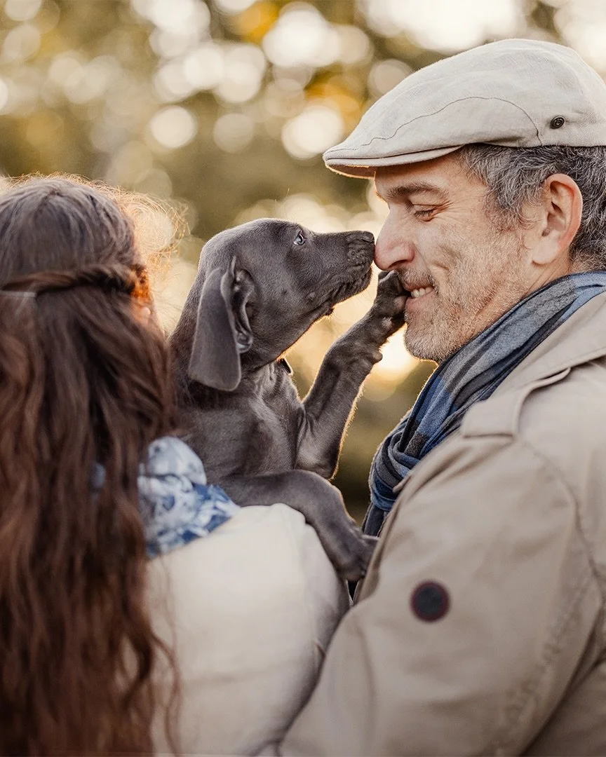 Wann ist eigentlich der beste Zeitpunkt f&uuml;r ein Welpenfotoshooting? ✨
Eigentlich bin ich der Meinung, dass es nicht DEN besten Zeitpunkt gibt, sondern jeder Moment es wert ist festgehalten zu werden. 
Aber wenn ihr wie hier bei Falko, Bilder hab