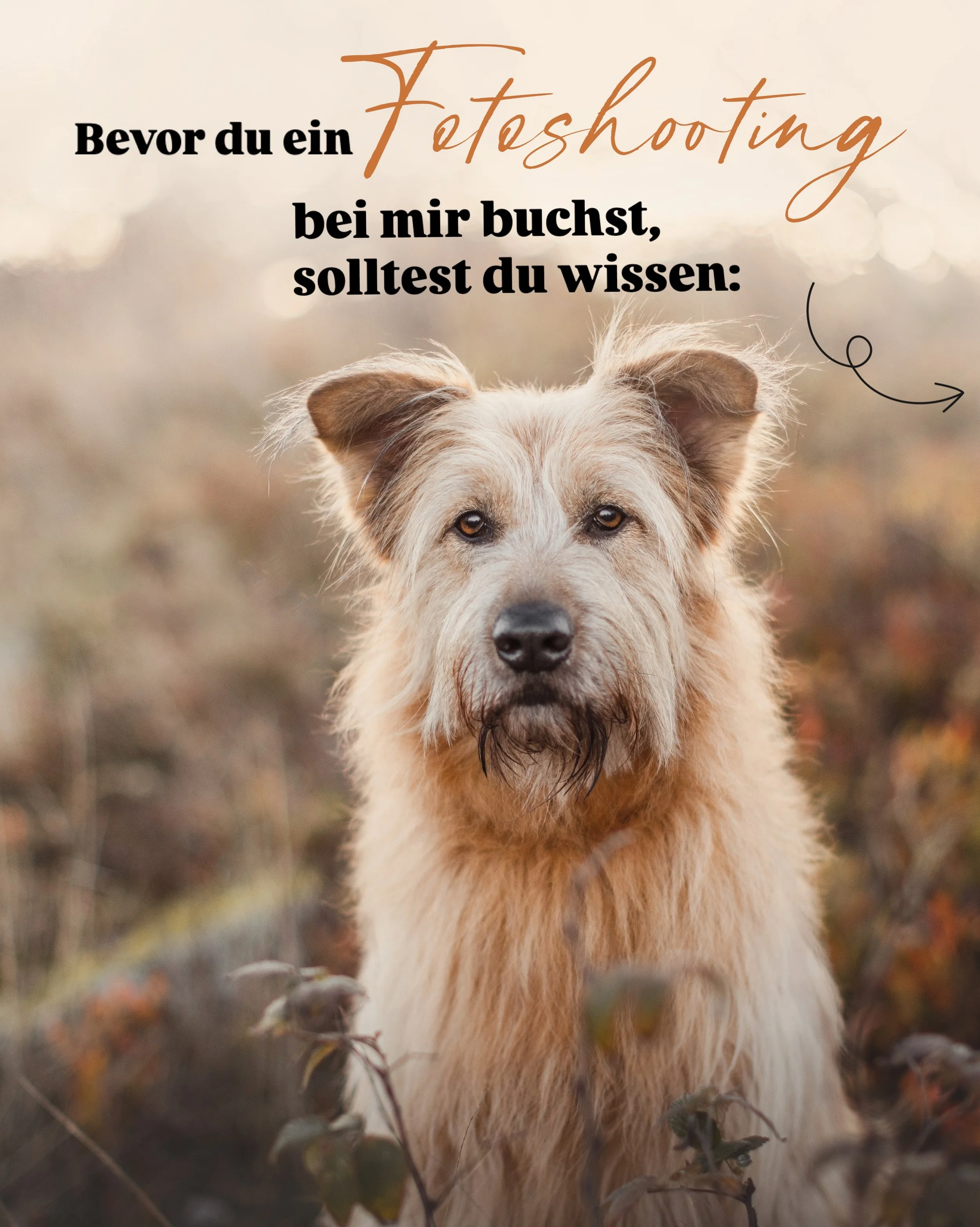 Da drau&szlig;en gibt es ganz viele wundervolle Fotografinnen. 🥰Wir alle sind unterschiedlich und so sind es auch unsere Fotoshootings und eure Bilder. 
Uns alle machen bestimmte Dinge aus und so bin ich der Meinung, dass jeder genau die Fotografin 