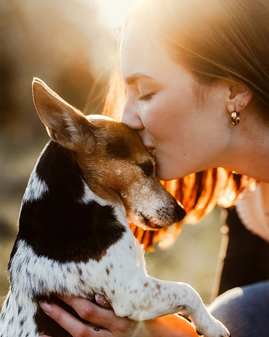 Die Liebe zu deinem Hund ist ein Gef&uuml;hl, das nur du kennst und das dir niemand nehmen kann 🤍 Aber manchmal reicht es nicht, dieses Gef&uuml;hl nur im Herzen zu tragen, man m&ouml;chte es auch sehen k&ouml;nnen.

Als festgehaltene Erinnerung. Ei