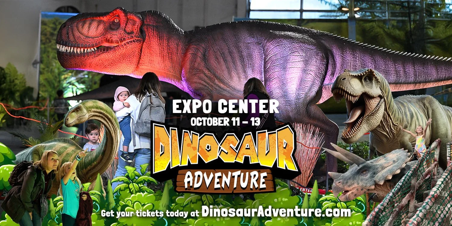 DINOSAUR ADVENTURE