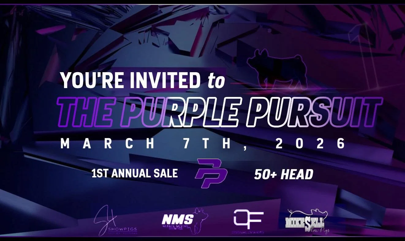 PURPLE PURSUIT PIG SALE
