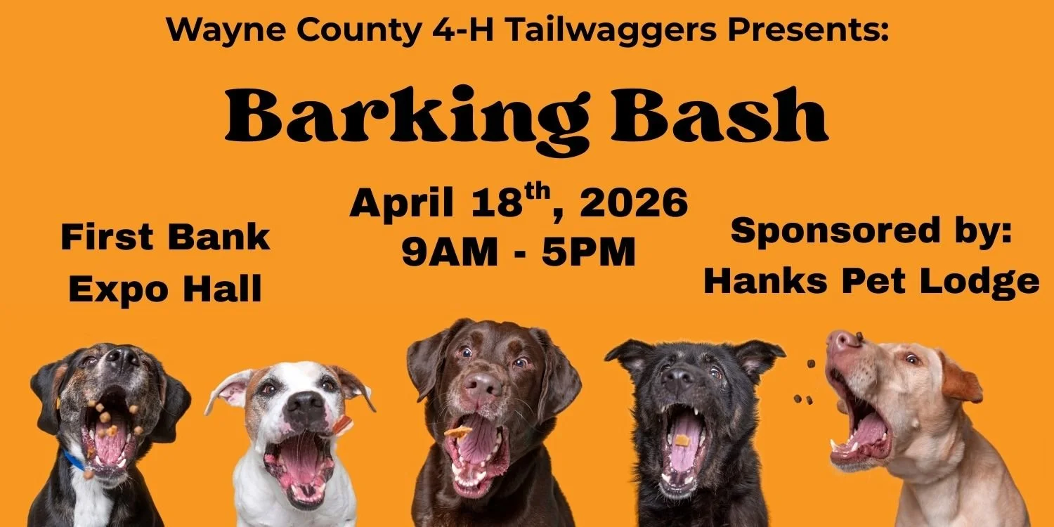 BARKING BASH
