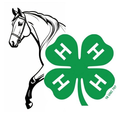 WAYNE COUNTY HORSE AND PONY OPEN SHOW