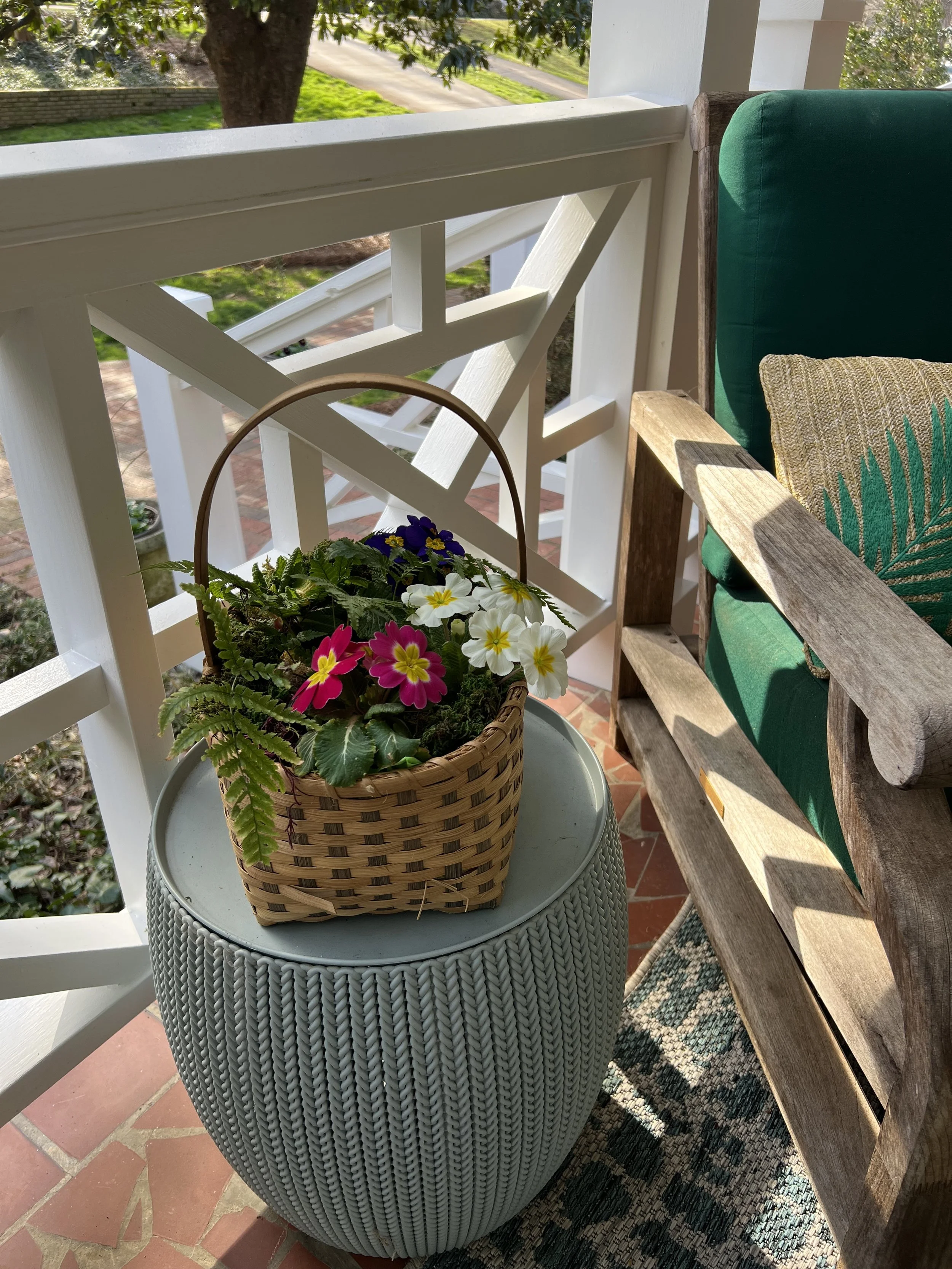 Rooted ContainerDesigngift3.jpeg